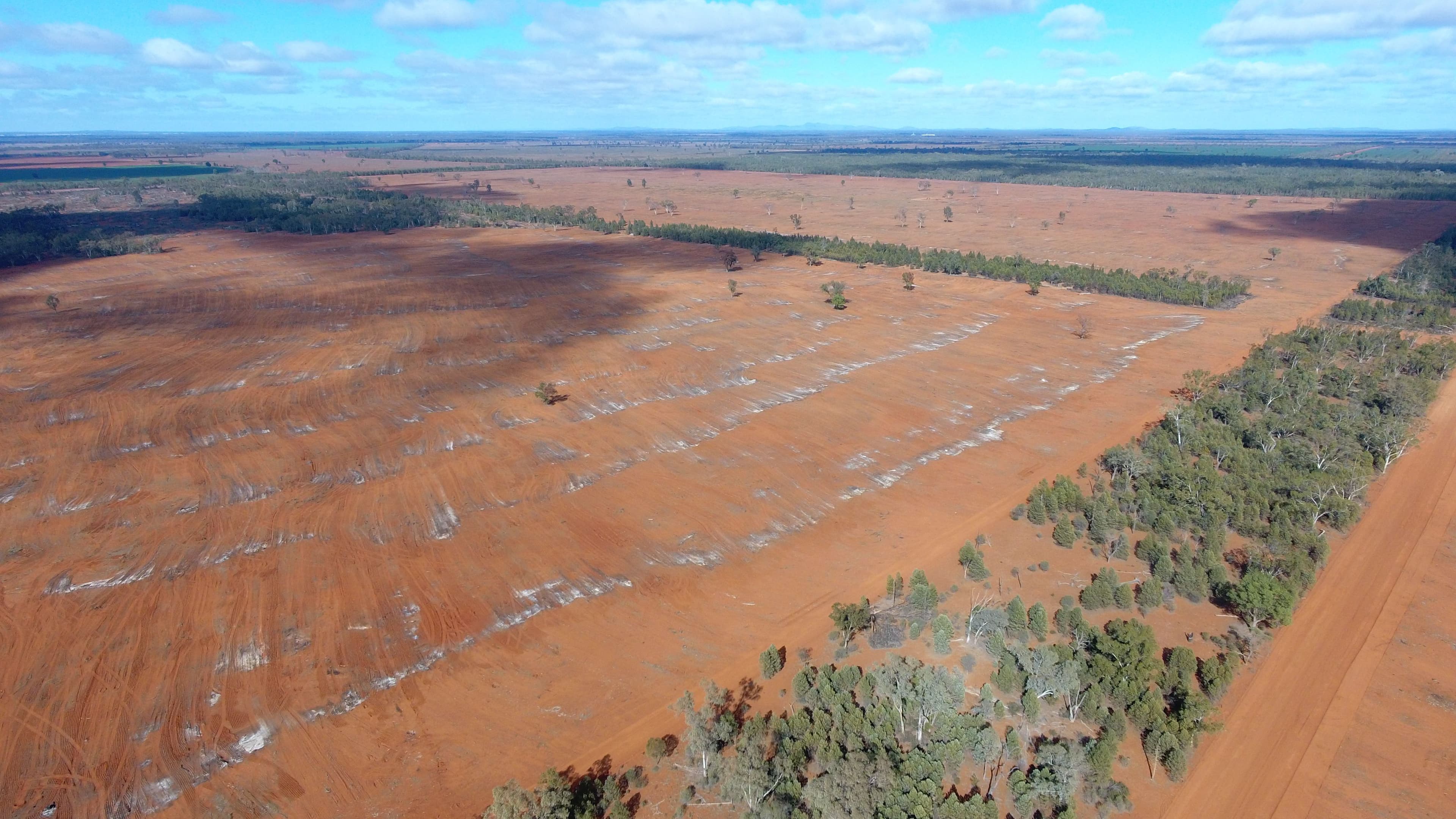 8491 Grain Road, Euabalong West NSW 2877, Euabalong West - Thumbnail 4
