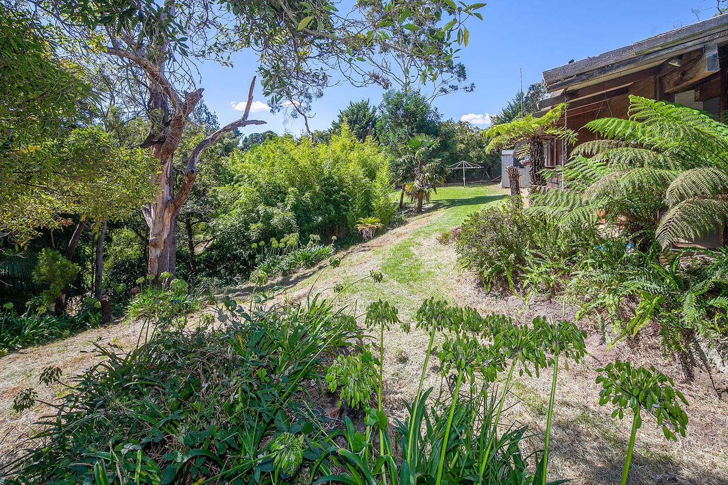 249 Canadian Bay Road, Mount Eliza VIC 3930, Mount Eliza - Image 1
