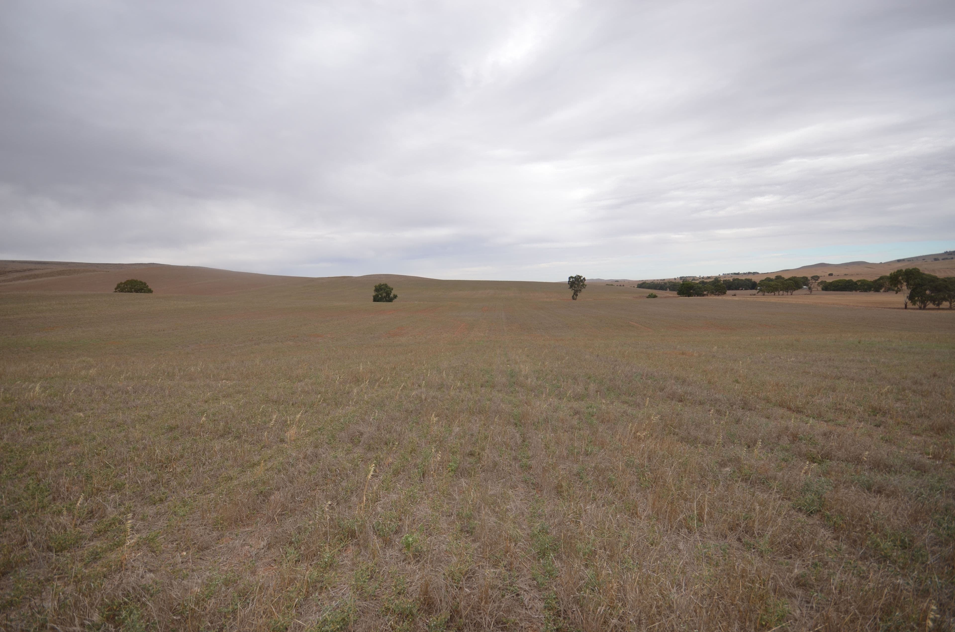 'Harveys' Pattersons Road, Gulnare SA 5471, Gulnare - Thumbnail 3