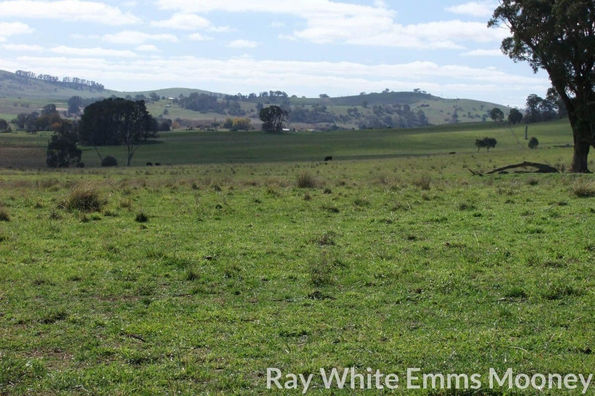 Blayney NSW 2799, Blayney - Thumbnail 5
