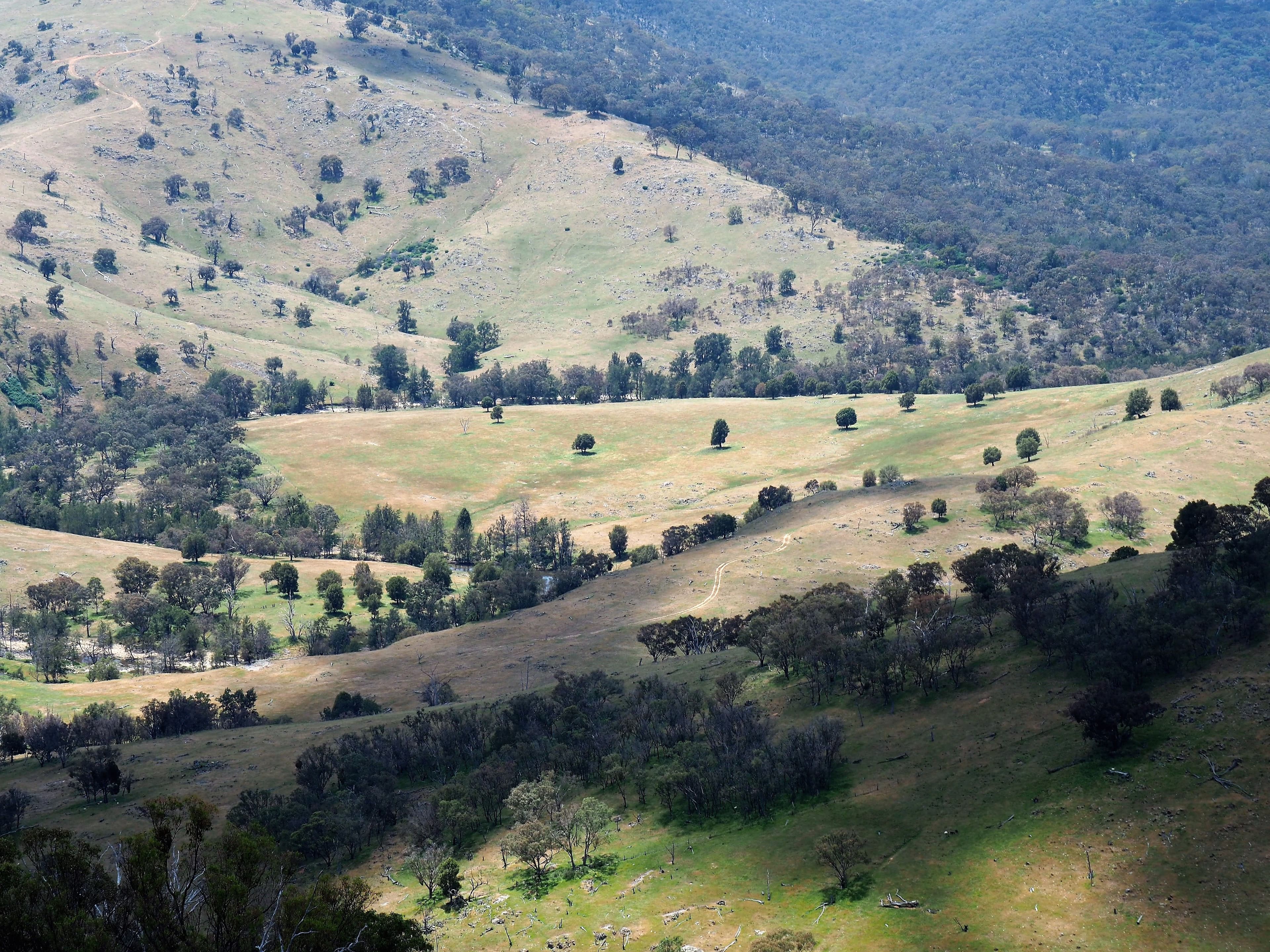 Tambaroora NSW 2795, Tambaroora - Thumbnail 2