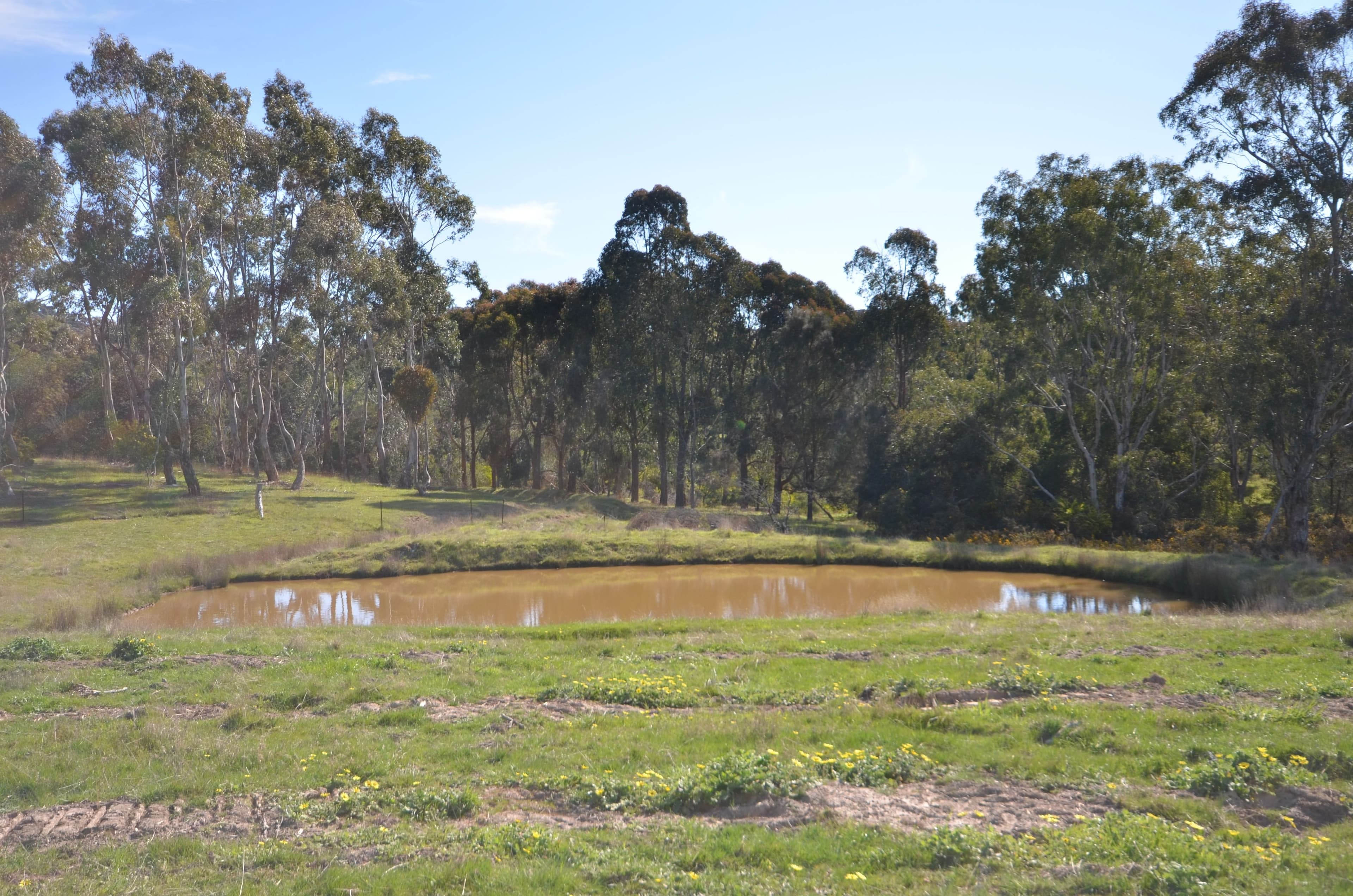 CA 5B and 6B Black Bottom Road, LEXTON VIC 3352, Lexton - Thumbnail 3