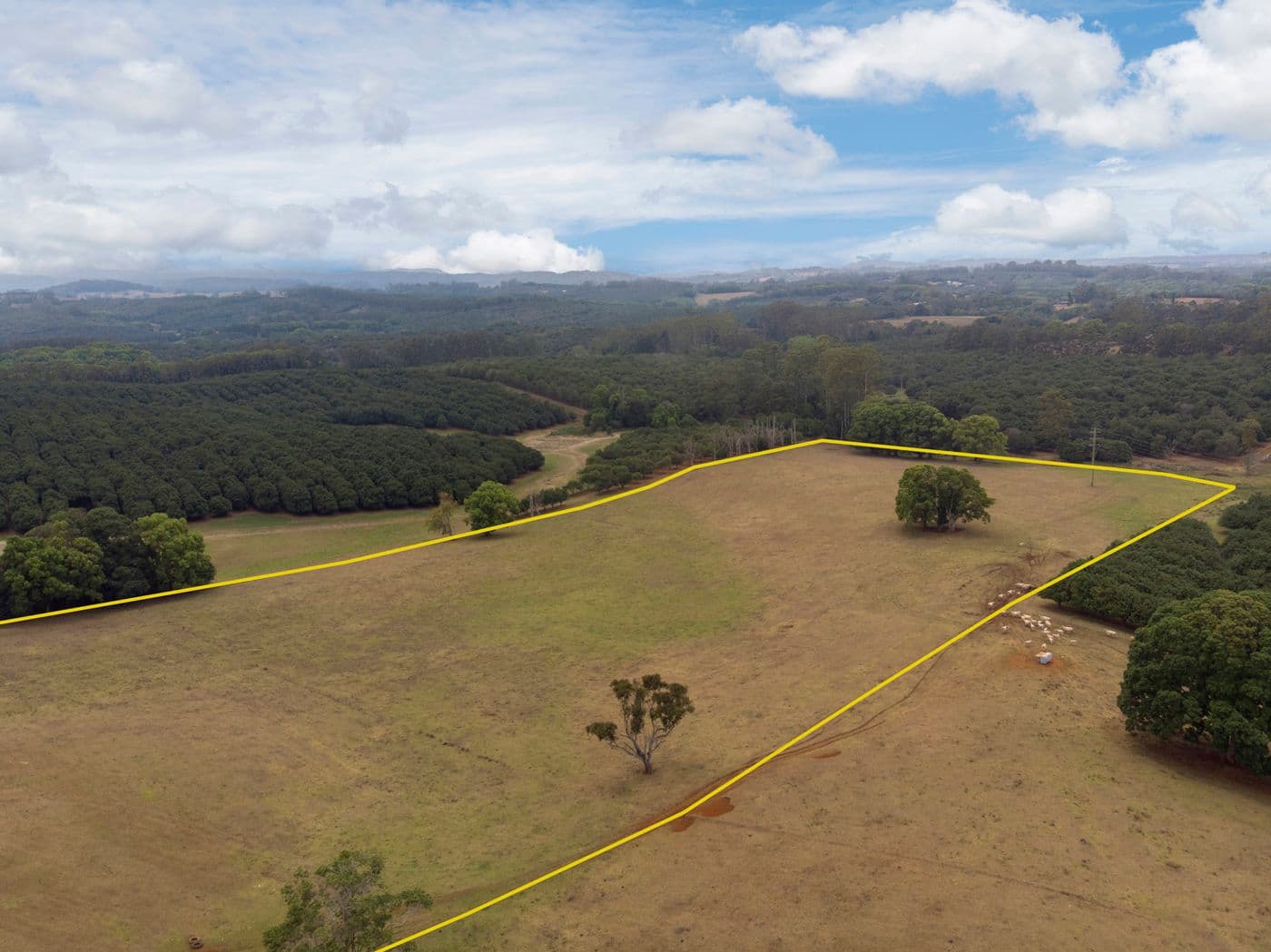 18 Fletcher Road, Dunoon NSW 2480, Dunoon - Thumbnail 5