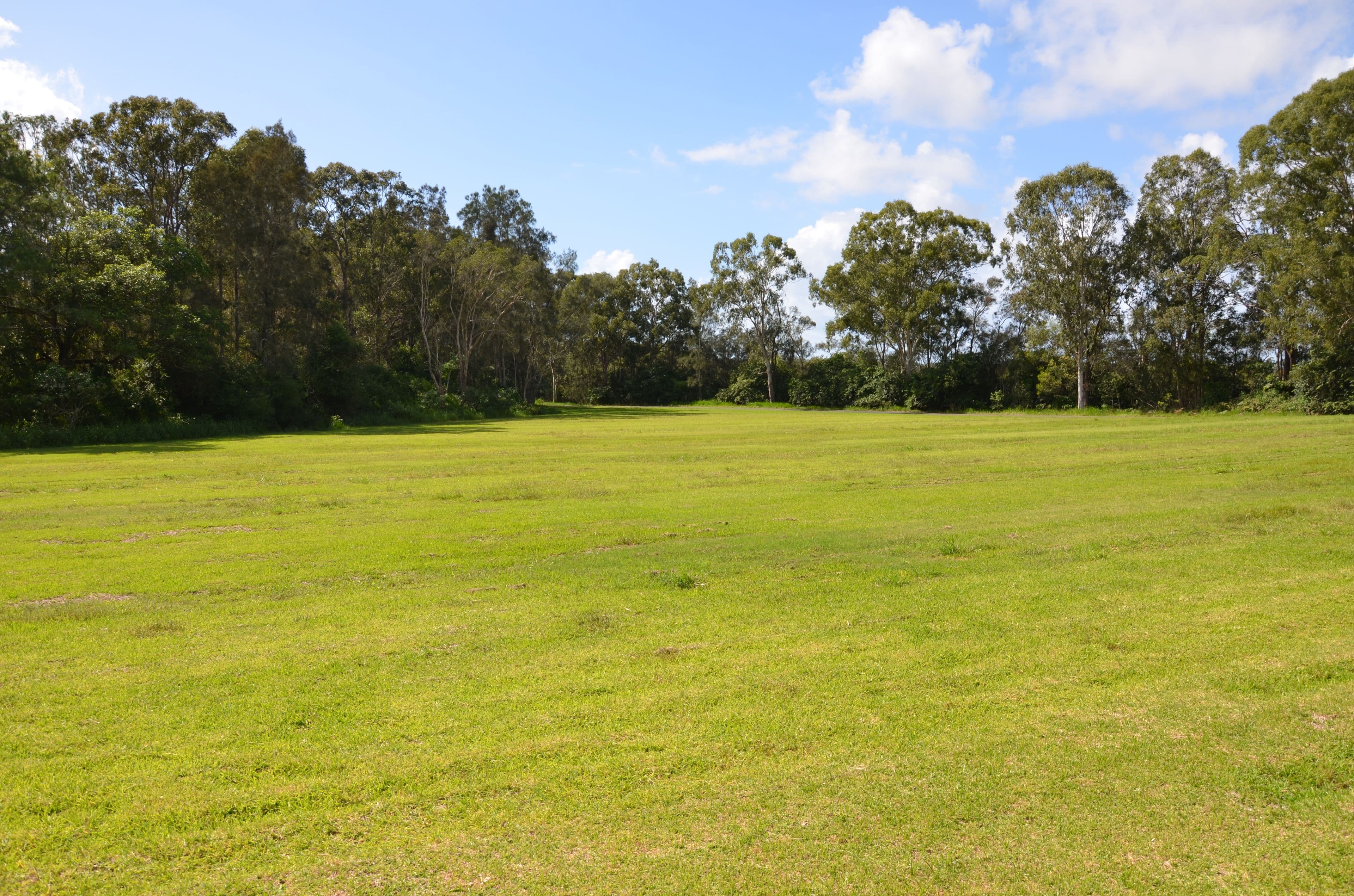 1499 Roys Road, Coochin Creek QLD 4519, Coochin Creek - Thumbnail 8