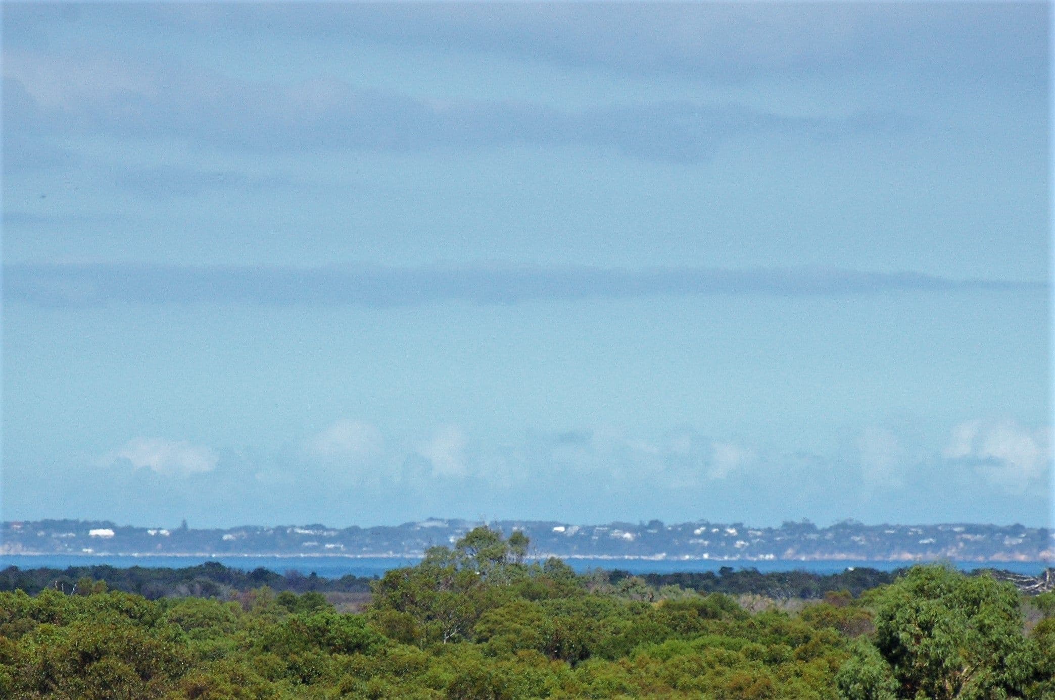 Lot 33 Pardolote Crescent, St Leonards VIC 3223, St Leonards - Thumbnail 6