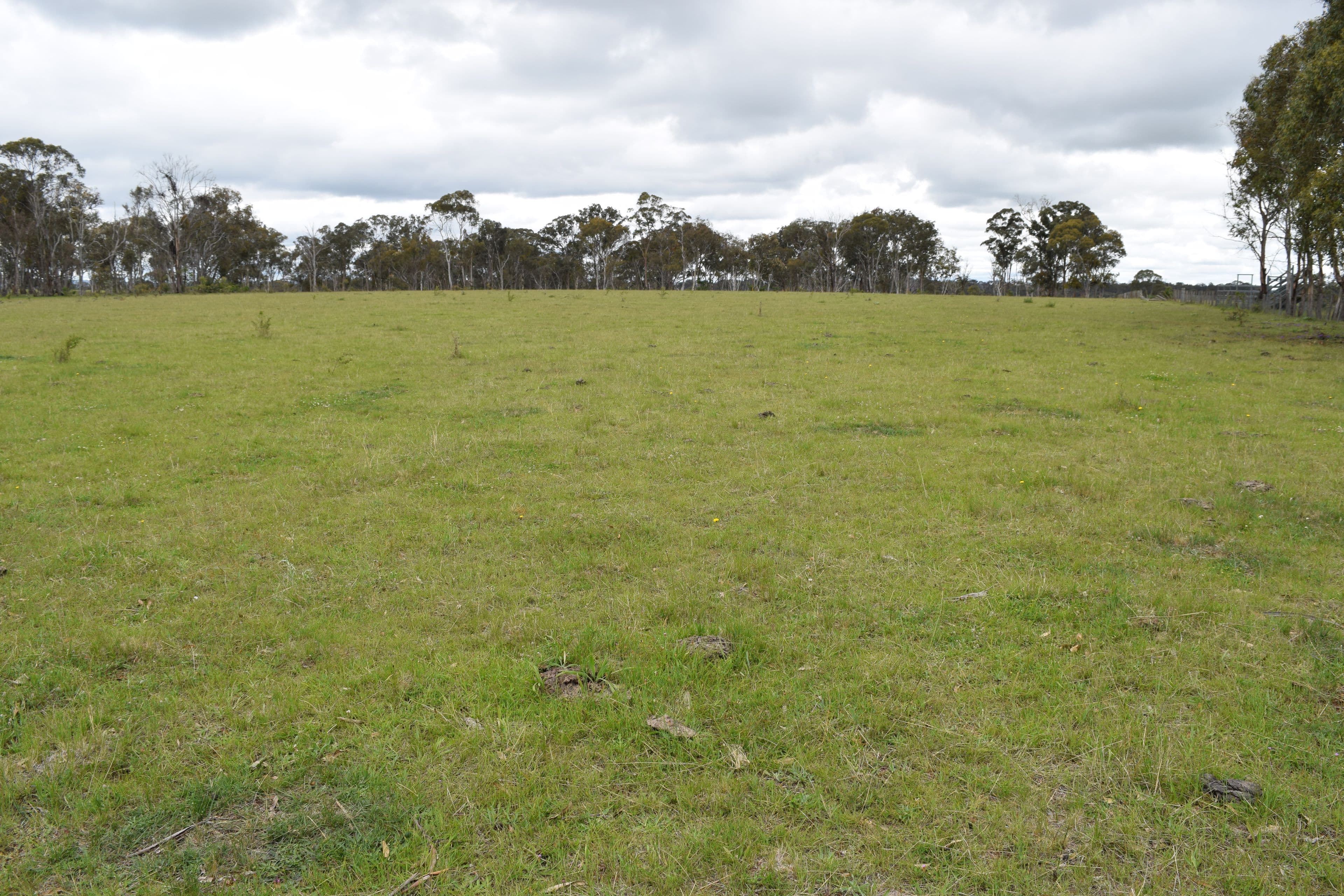 460 Donald Road, Armidale NSW 2350, Armidale - Thumbnail 8