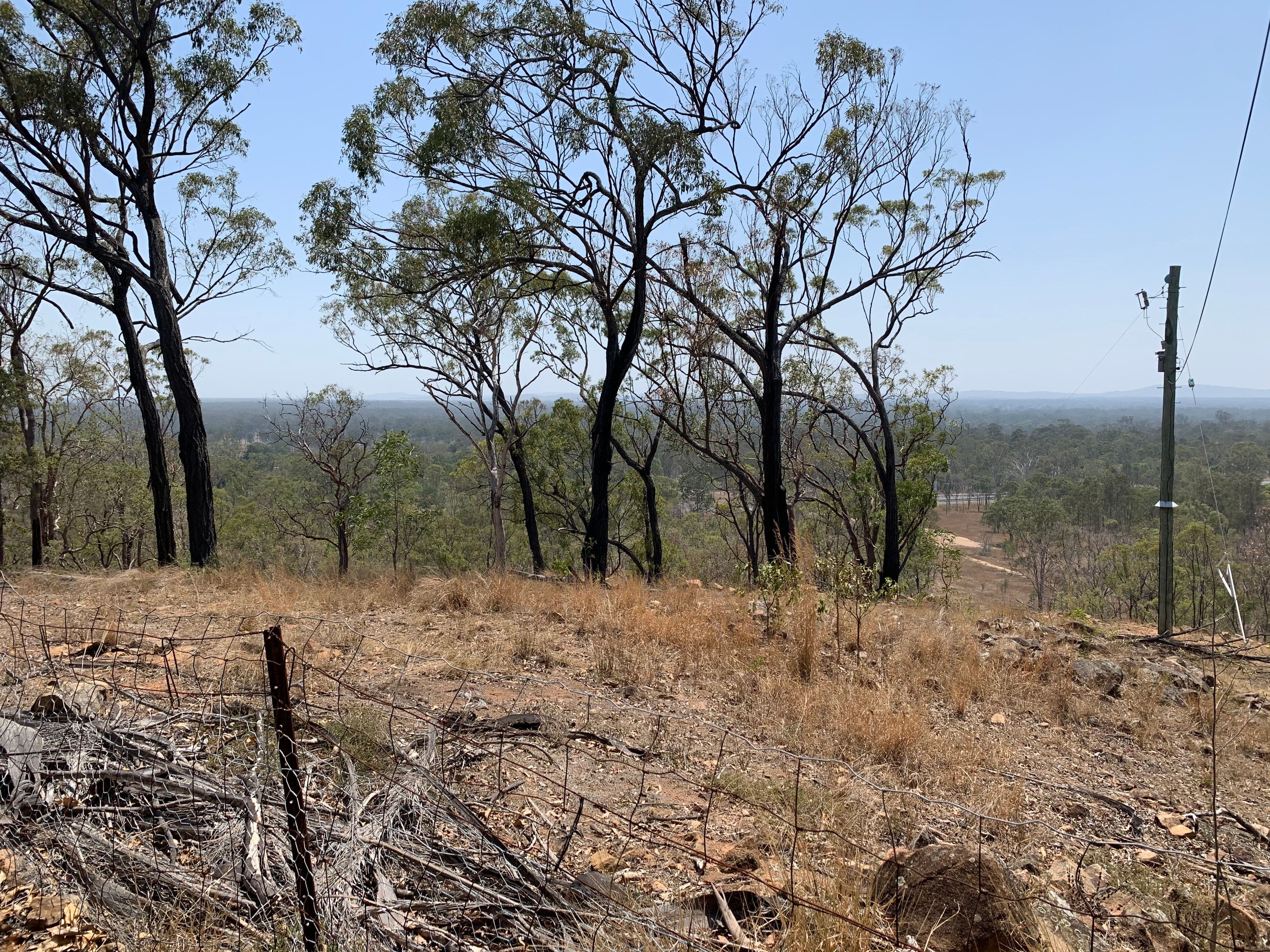 46967 Bruce Highway, Iveragh QLD 4680, Iveragh - Thumbnail 7