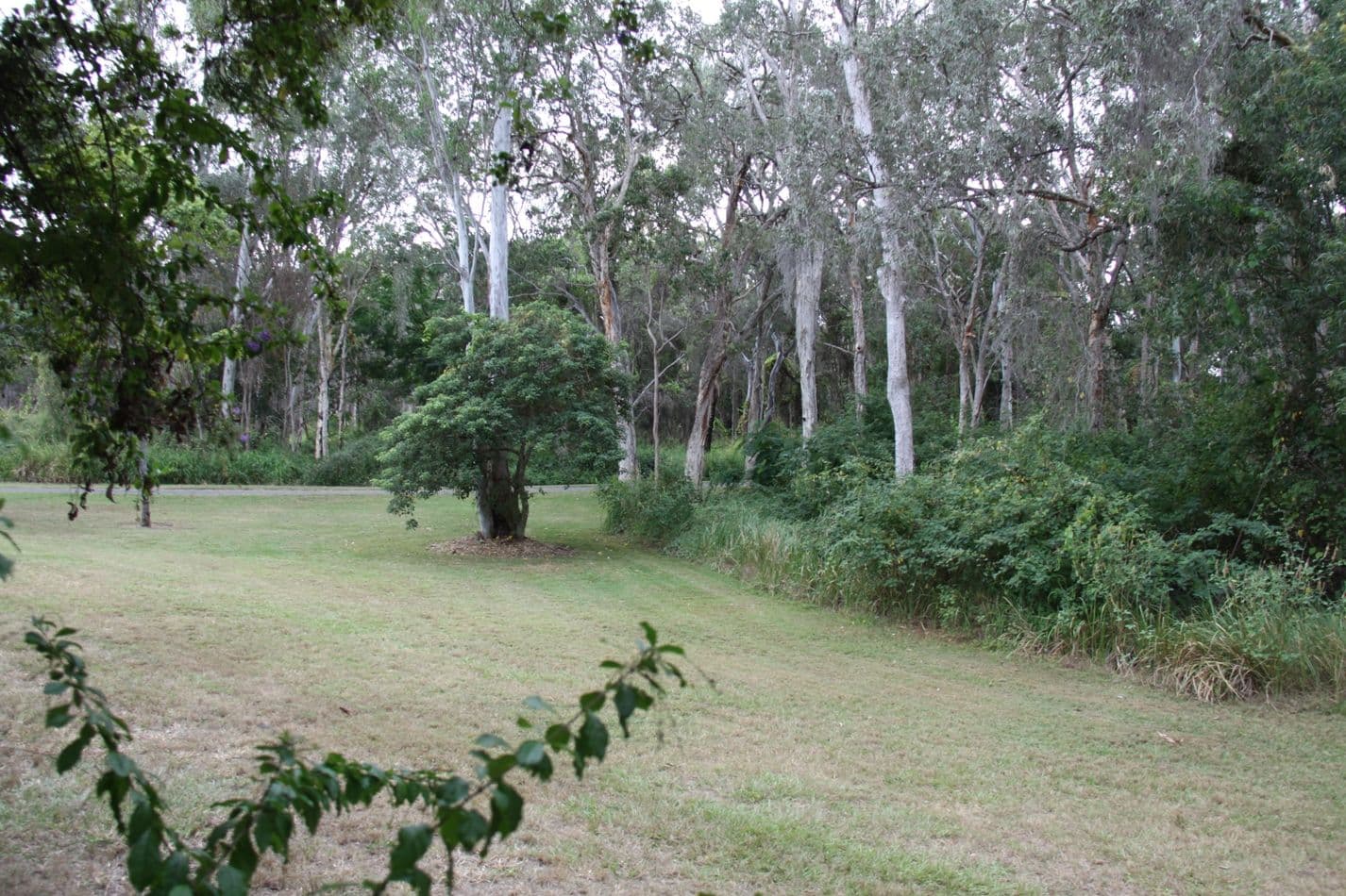 34 Alkina Crescent, Boyne Island QLD 4680, Boyne Island - Thumbnail 6