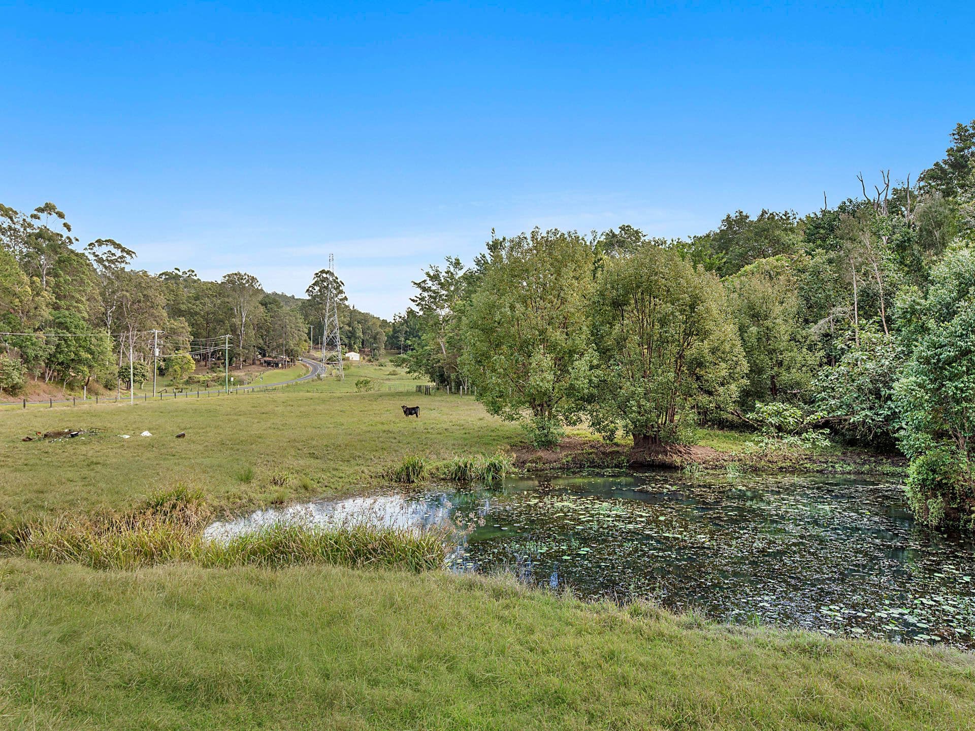 168 Diamond Valley Road, Diamond Valley QLD 4553, Diamond Valley - Thumbnail 2