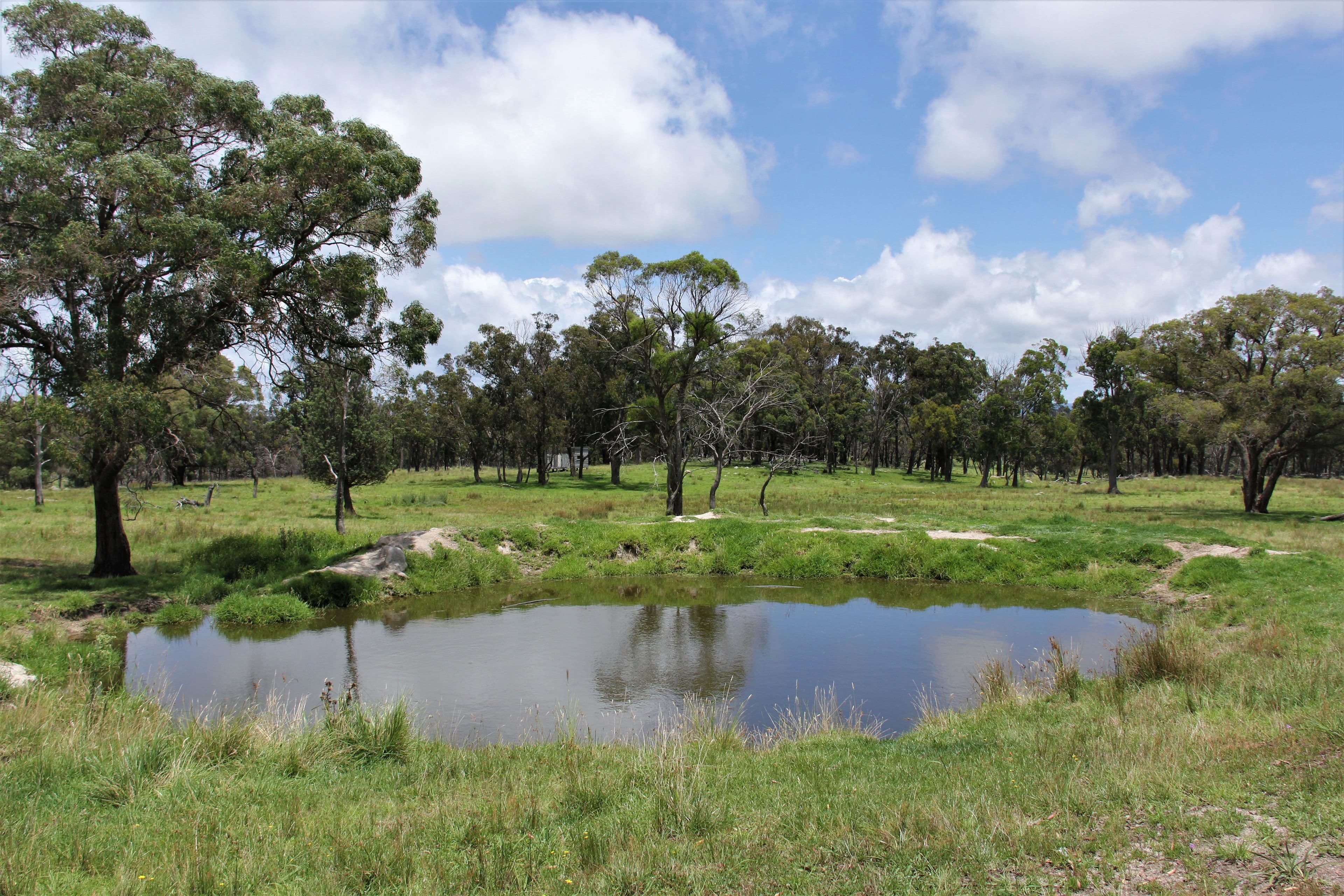 170 Bungulla Road, Tenterfield NSW 2372, Tenterfield - Thumbnail 8