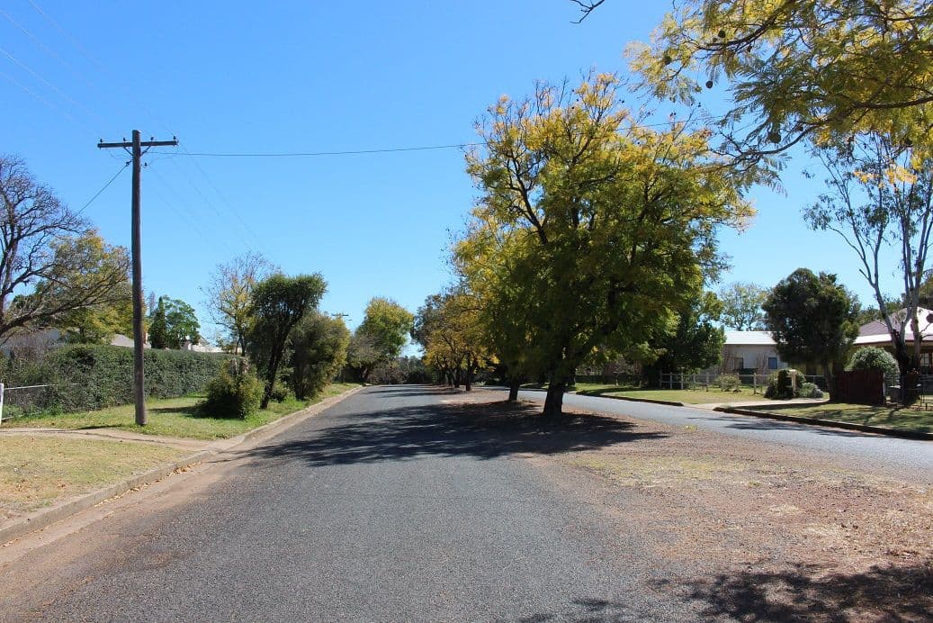 21 Finch Street, Bingara NSW 2404, Bingara - Thumbnail 5