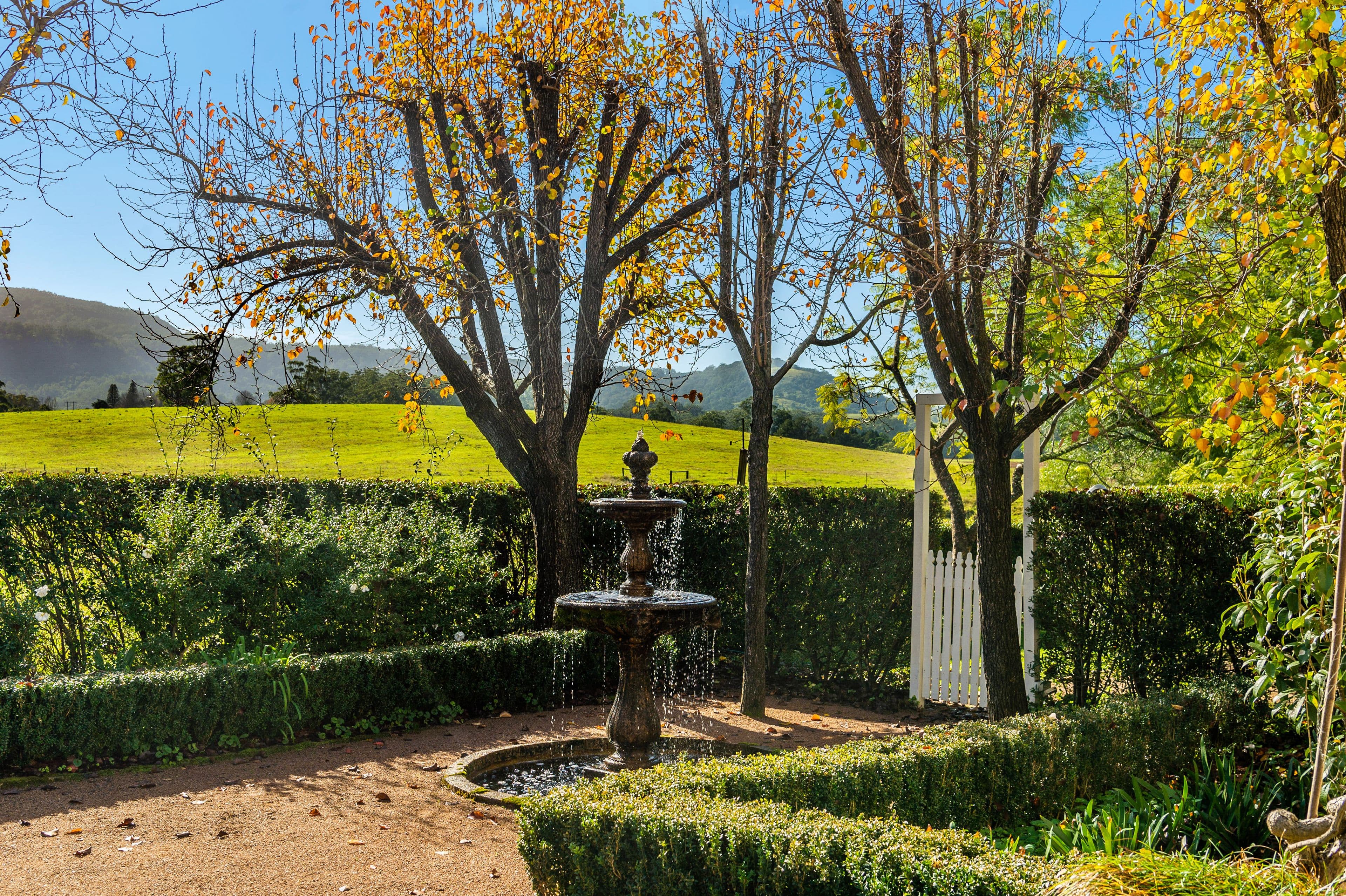 78 Woodhill Mountain Road, Berry - Thumbnail 4
