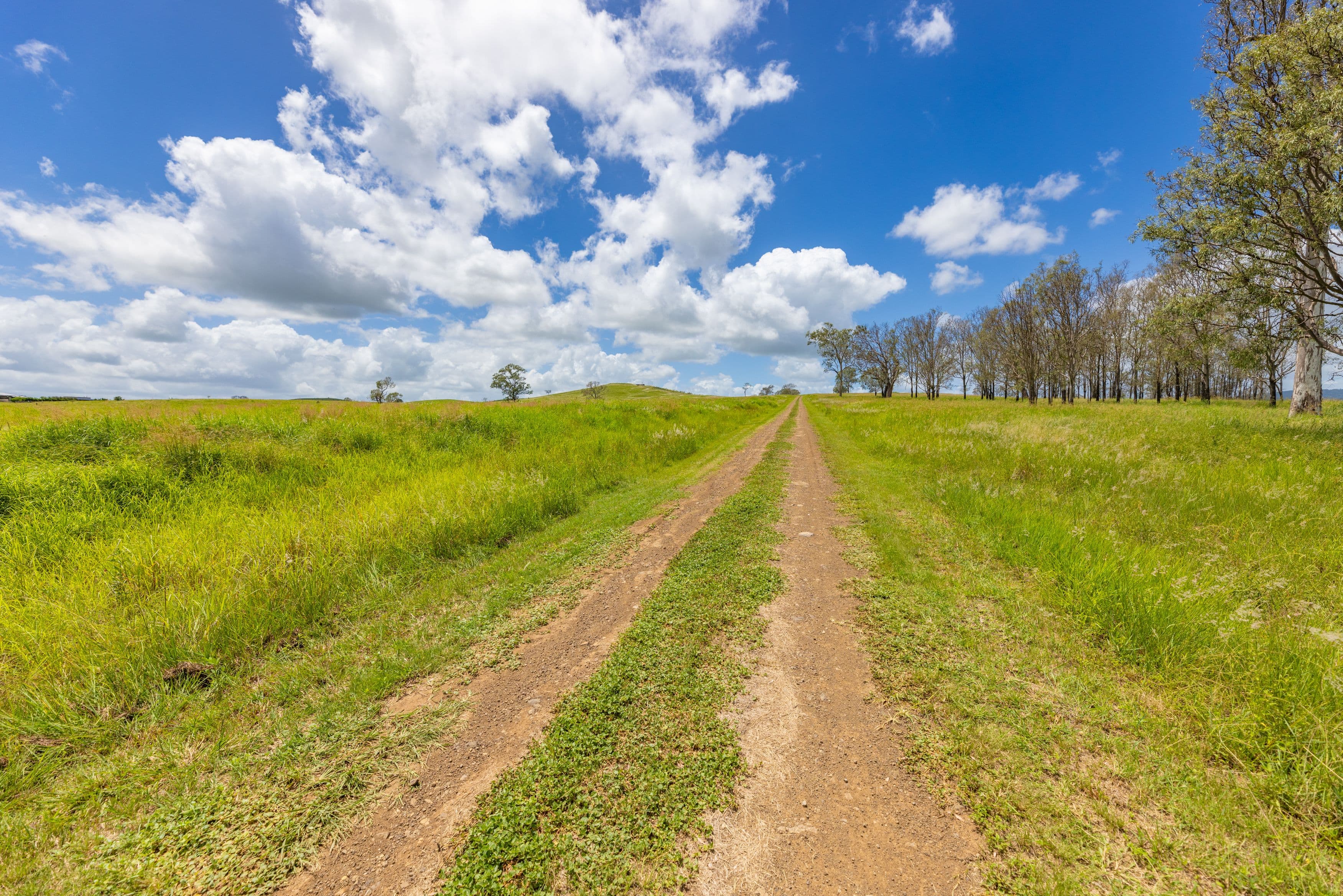 300 SPRING CREEK Road, Harlin QLD 4314, Harlin - Thumbnail 4