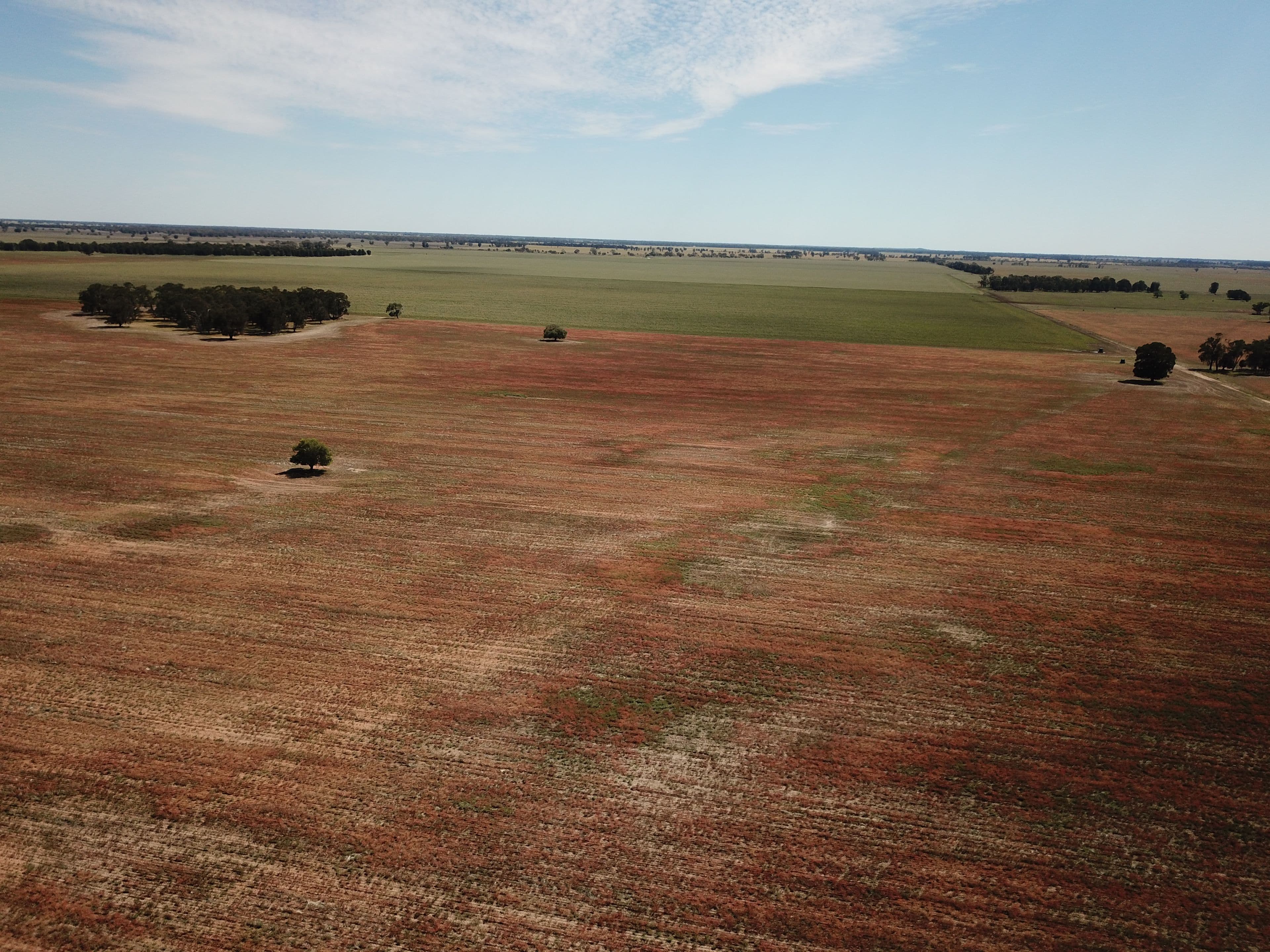 'Glengarry' Wyanga Road, Narromine NSW 2821, Narromine - Thumbnail 7