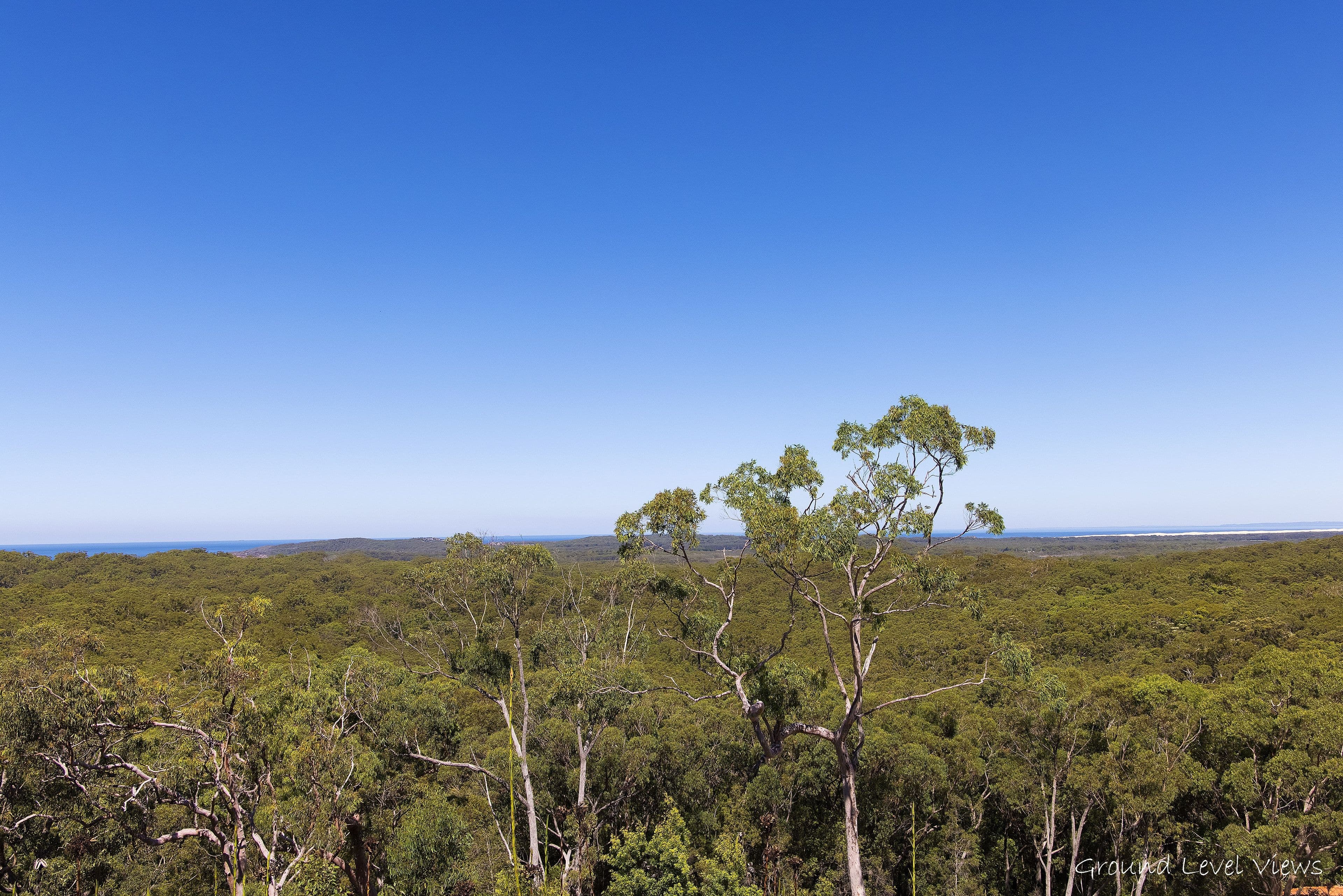 111E Wallawa Road, Nelson Bay NSW 2315, Nelson Bay - Thumbnail 7