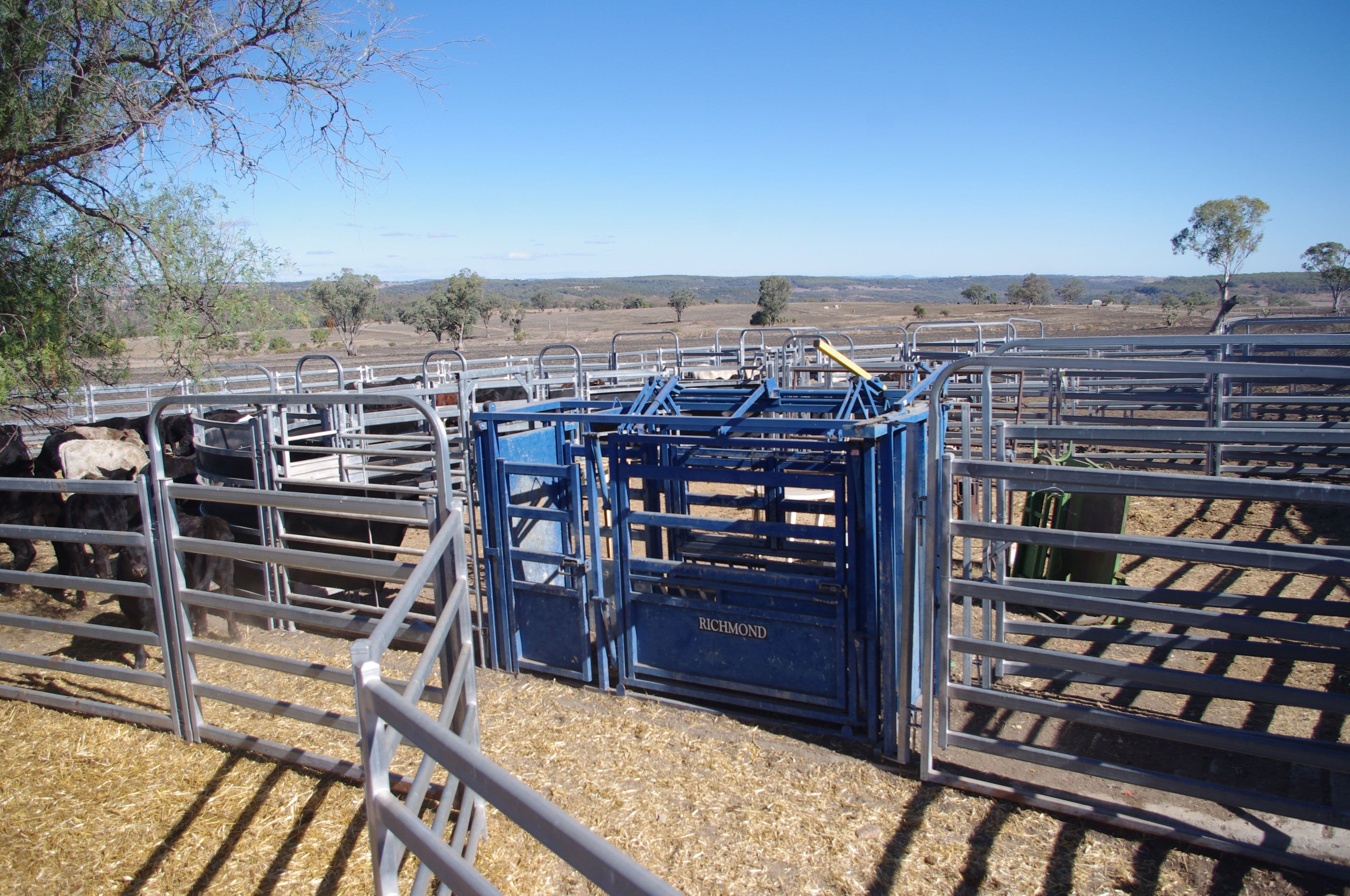 Inverell NSW 2360, Inverell - Thumbnail 4