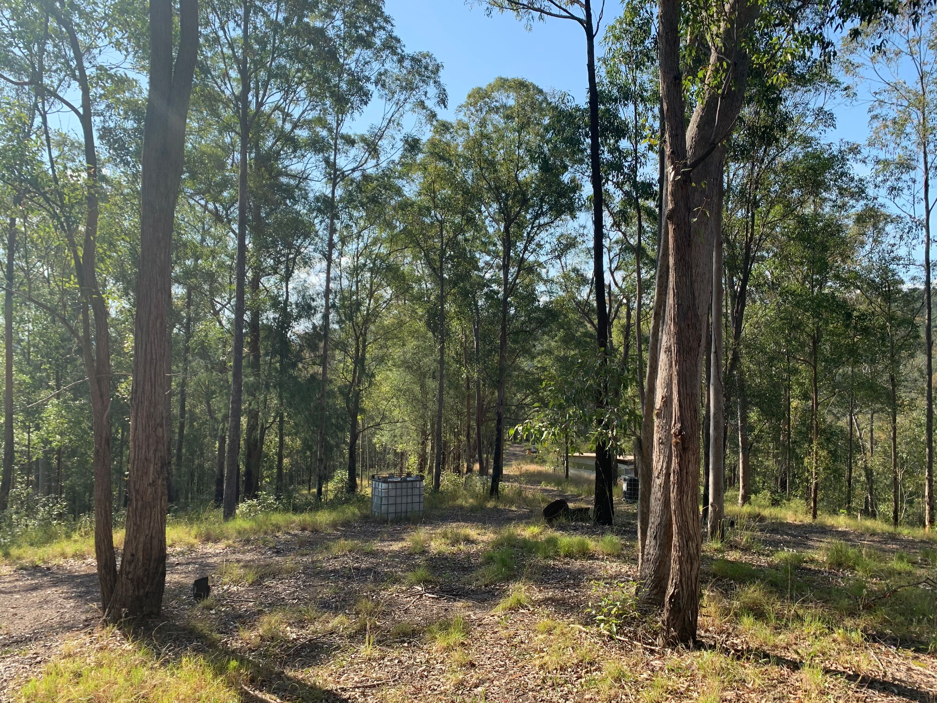 Lot 51 Upper Myall Road, Upper Myall NSW 2423, Upper Myall - Thumbnail 7