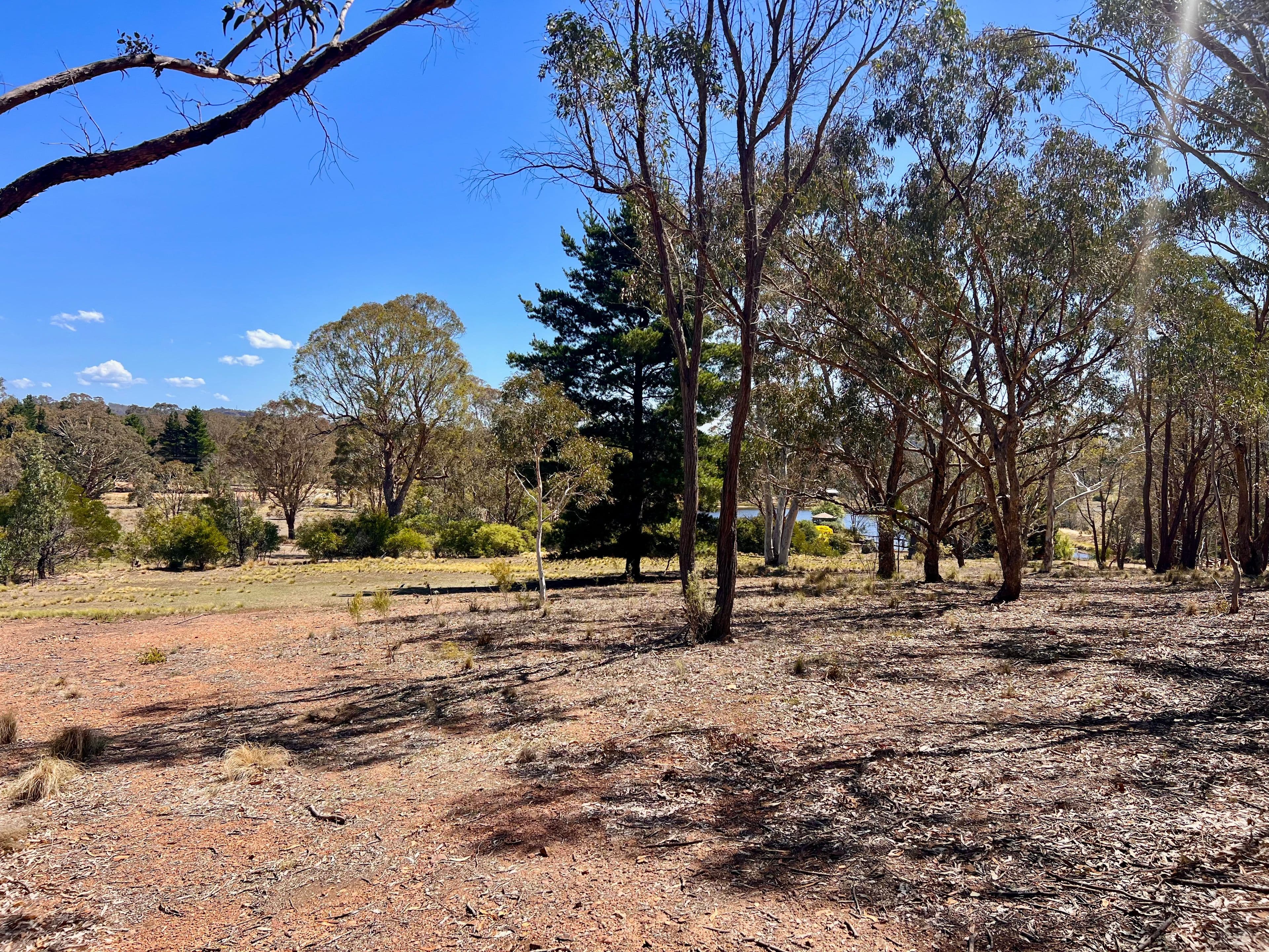 13 Songlark Lane, Sutton NSW 2620, Sutton - Thumbnail 4