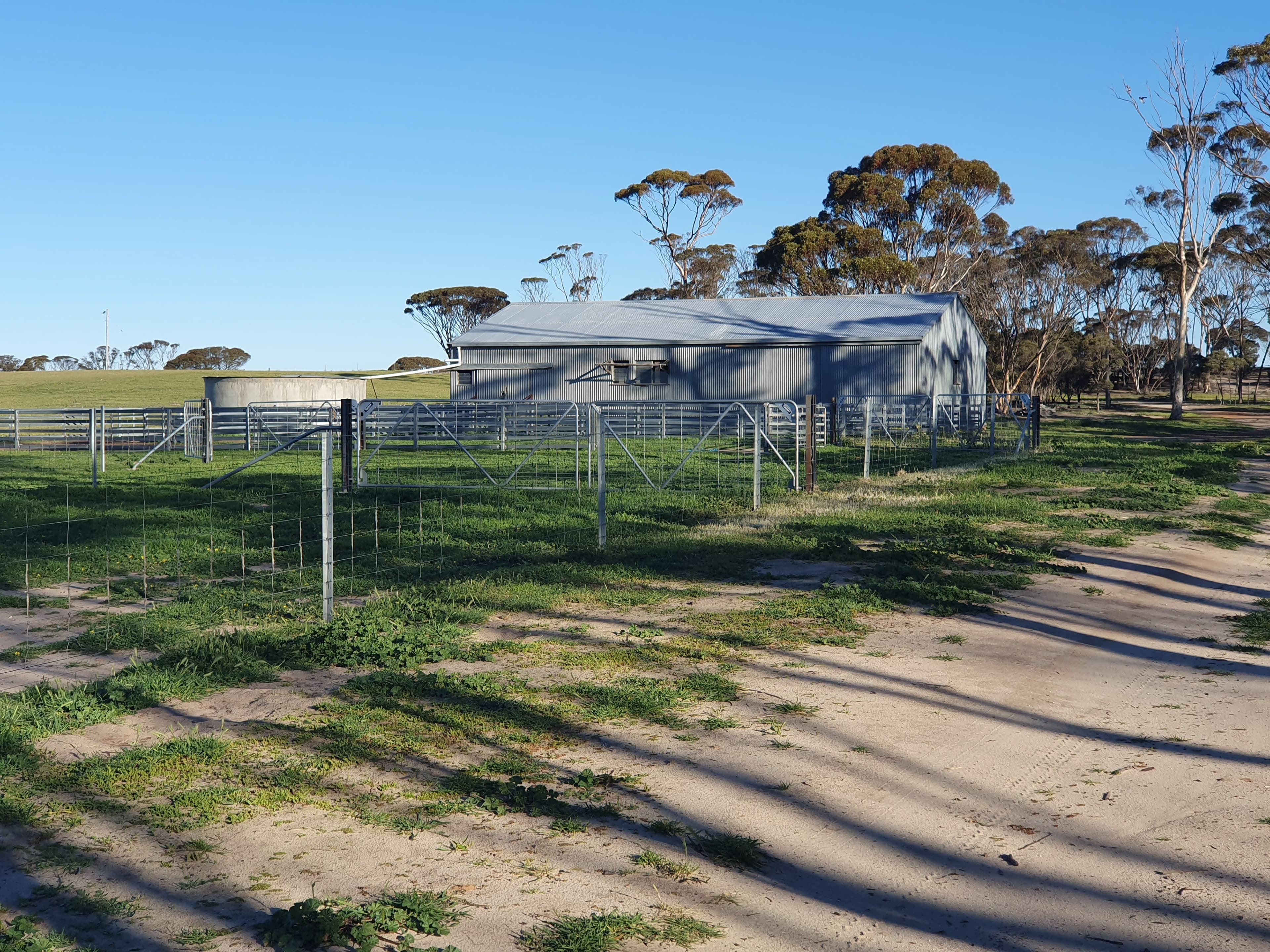 2405 North Needilup Road, Pingrup WA 6343, Pingrup - Thumbnail 3