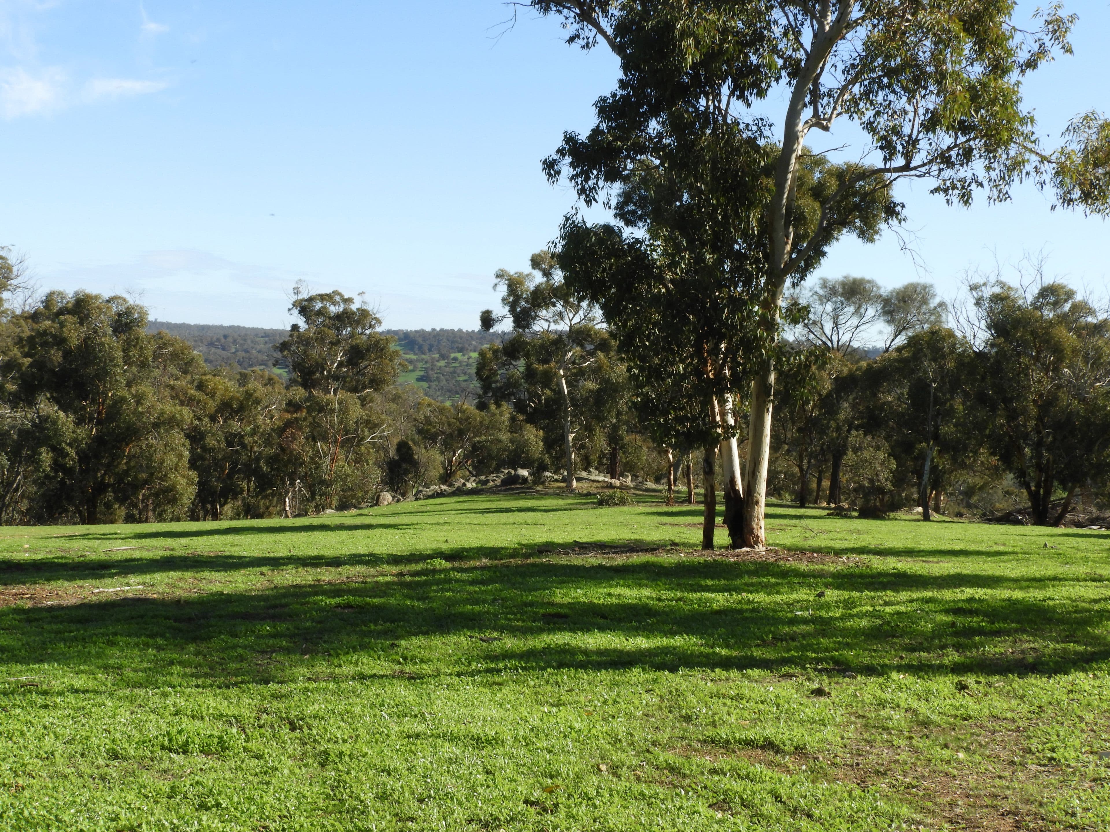 712 Davis Road, Chittering WA 6084, Chittering - Thumbnail 4