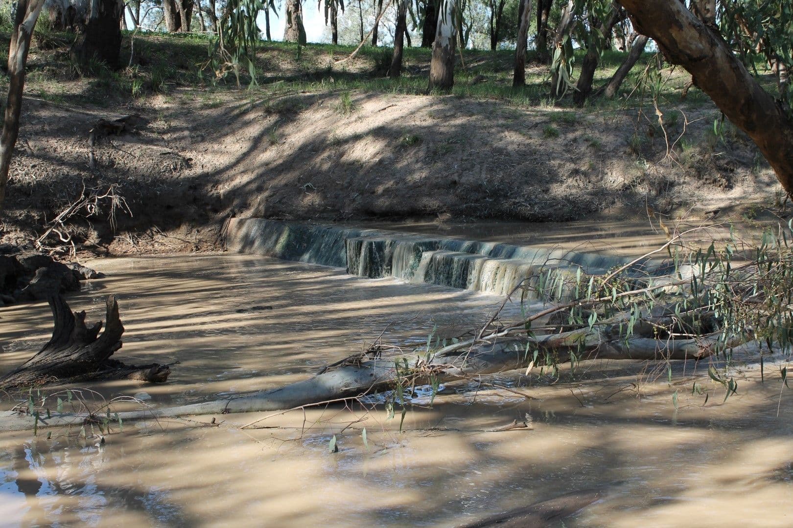 St George QLD 4487, St George - Thumbnail 5