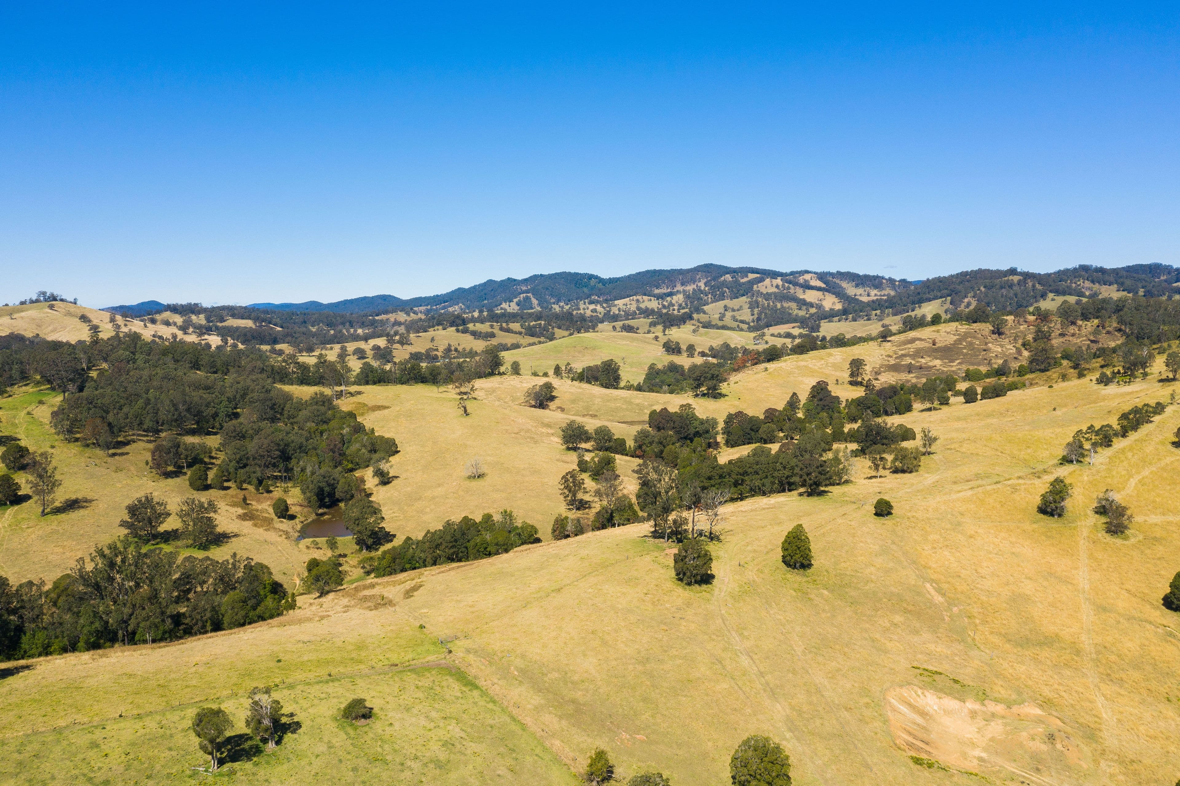 139 Sawpit Lane, Wallanbah NSW 2422, Wallanbah - Thumbnail 8