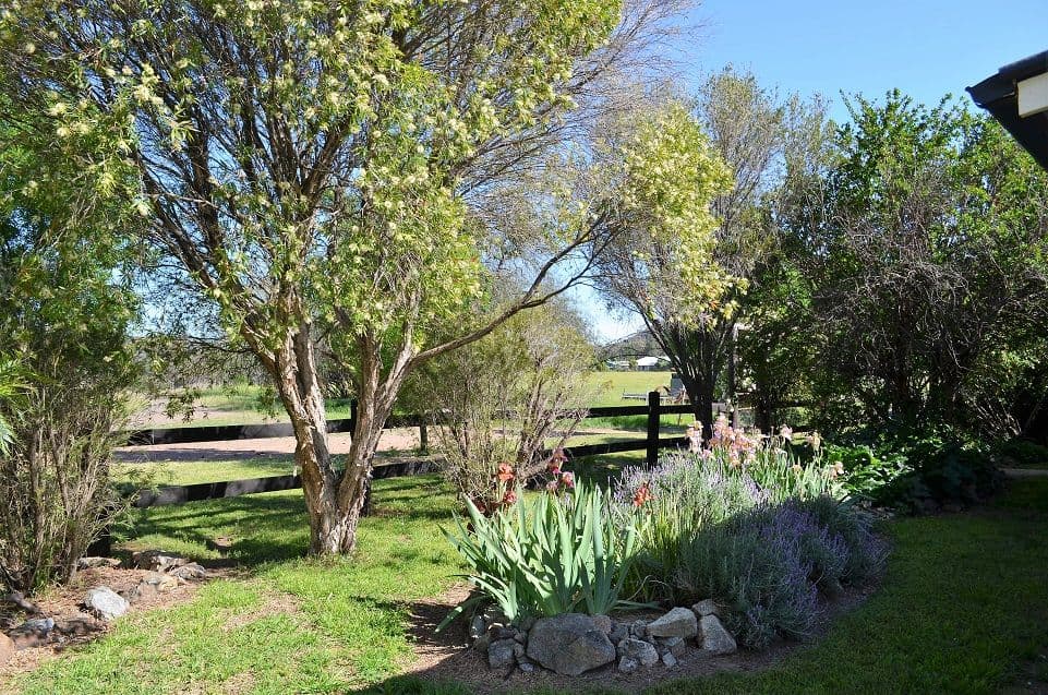 22 Upper Bingara Side Road, Upper Bingara NSW 2404, Upper Bingara - Thumbnail 5