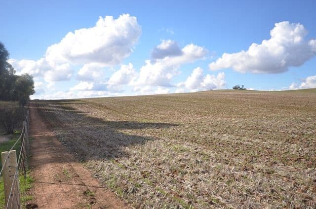 "Huxley's'" Curio Highway, Marrabel SA 5413, Marrabel - Thumbnail 5
