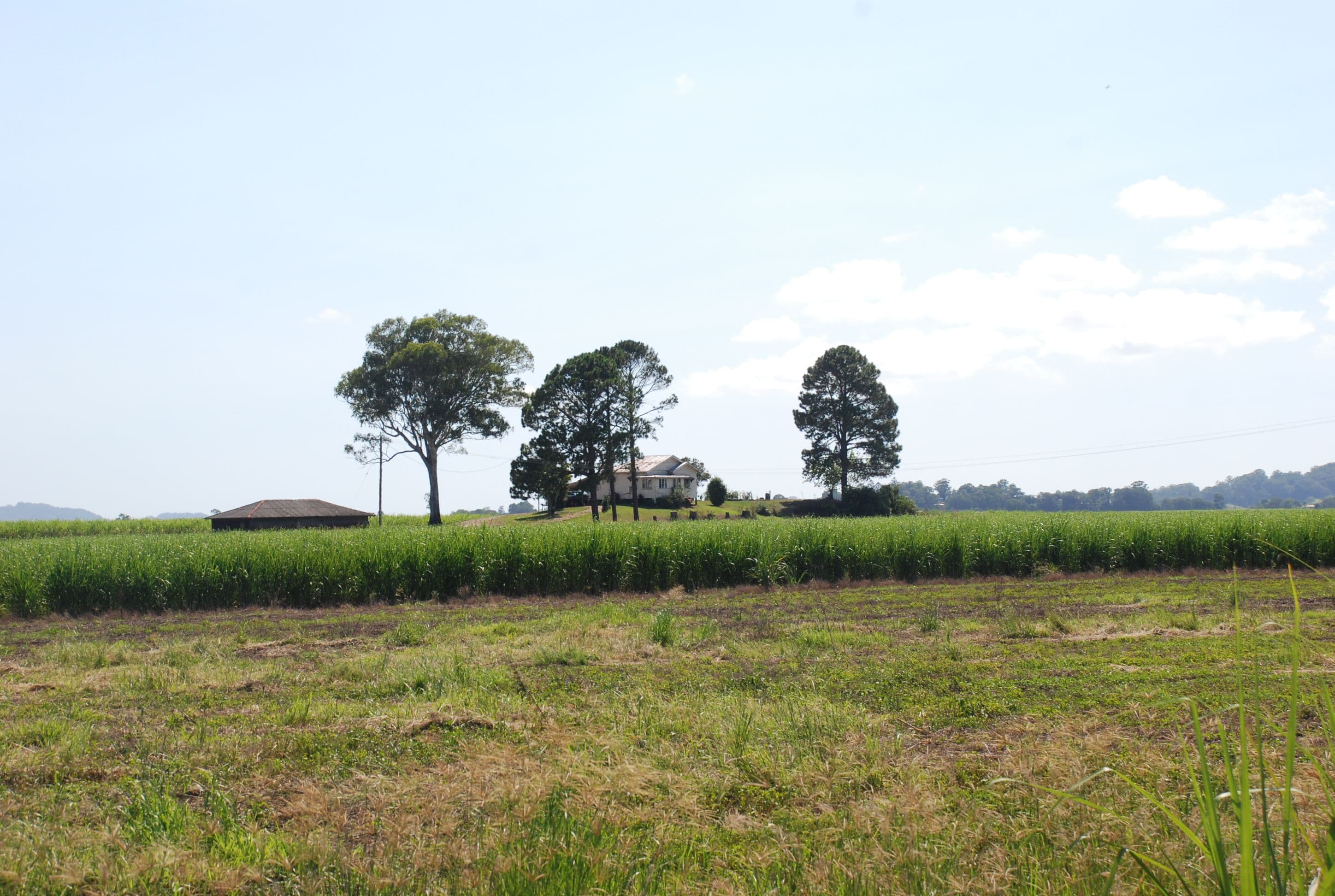 163 Reserve Creek Road, South Murwillumbah NSW 2484, South Murwillumbah - Thumbnail 6