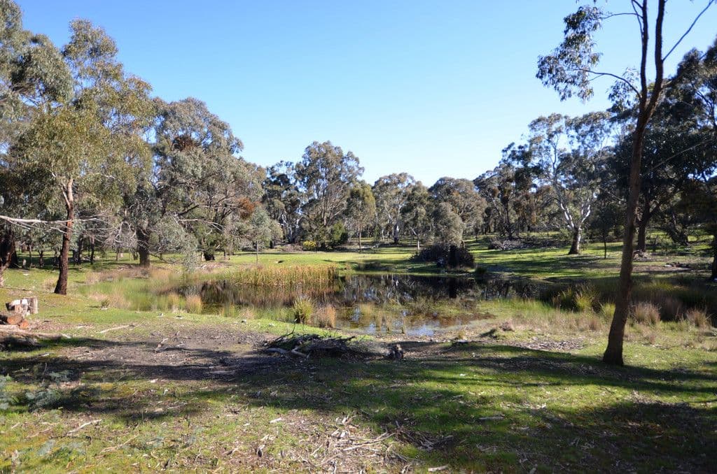 CA 8 Armstrong Lane, WATERLOO VIC 3373, Waterloo - Thumbnail 7