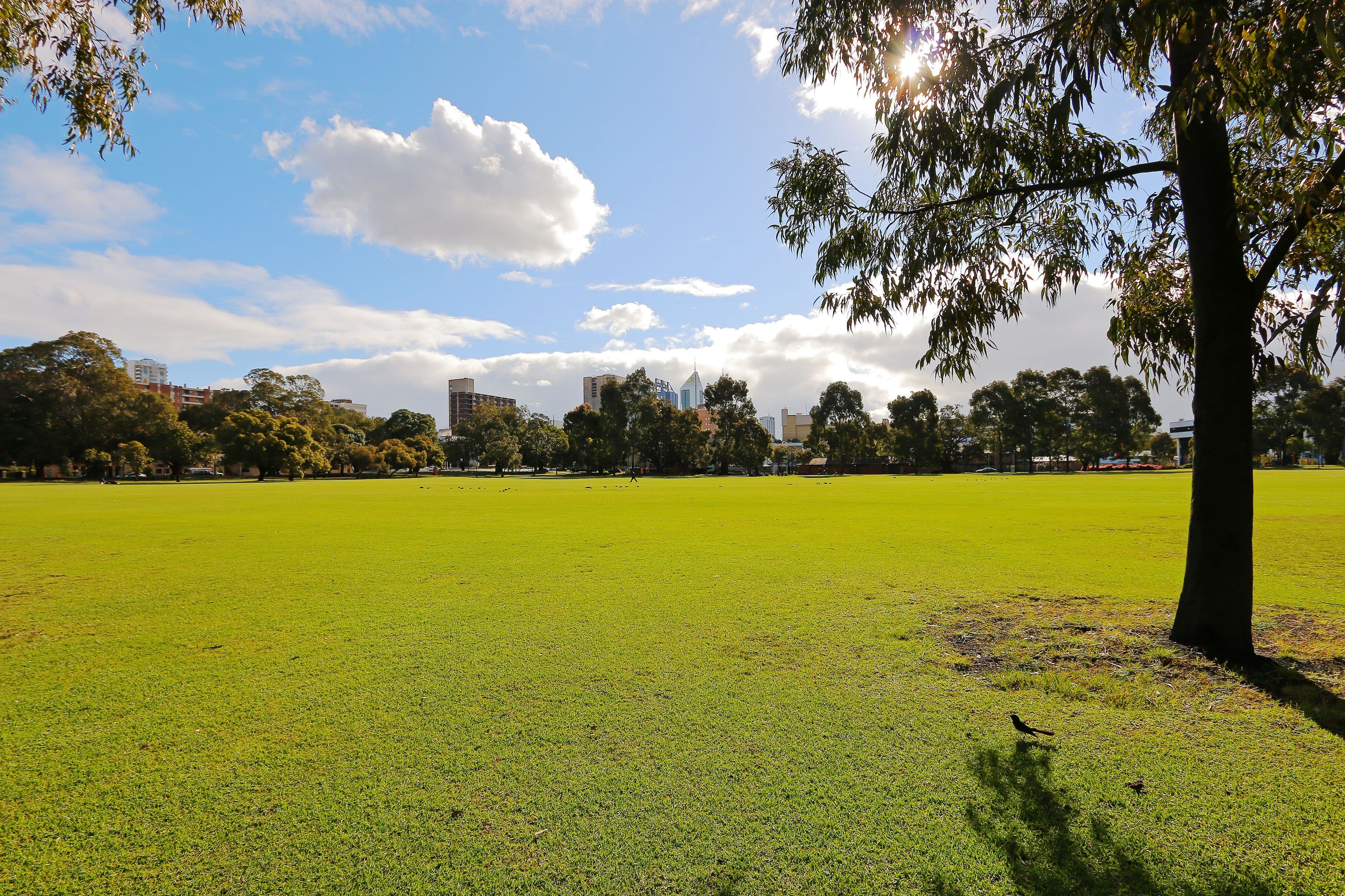 7/42-44 Bronte Street, East Perth WA 6004, East Perth - Thumbnail 5