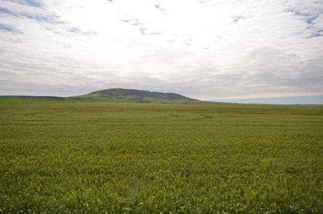 "Baldina" Lot 1 and 3, South Hummocks SA 5550, South Hummocks - Thumbnail 2