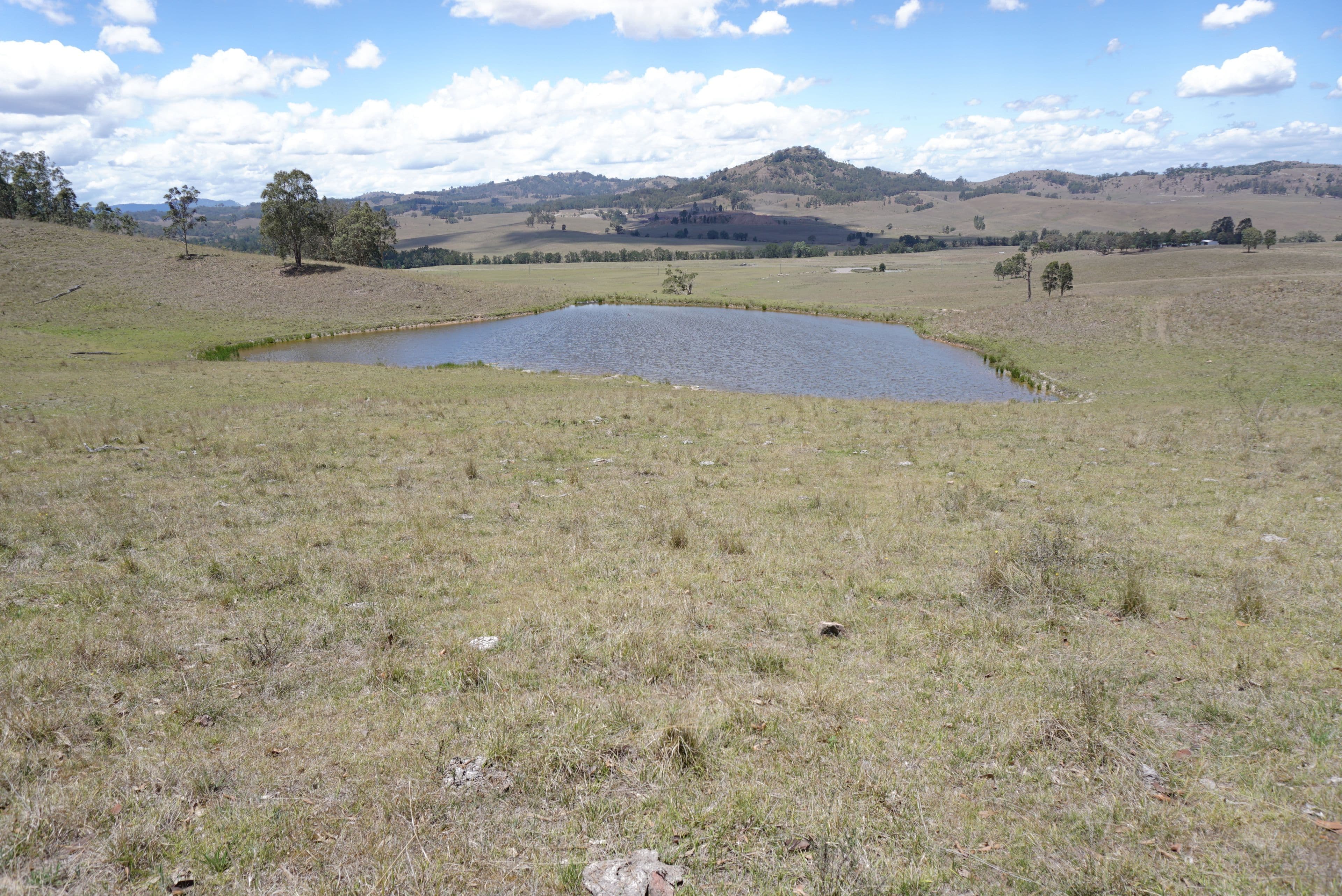"Gulnare" 1627 Scrumlo Road, Hebden NSW 2330, Hebden - Thumbnail 8
