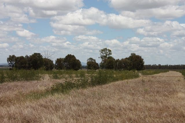 Jambin QLD 4702, Jambin - Thumbnail 5