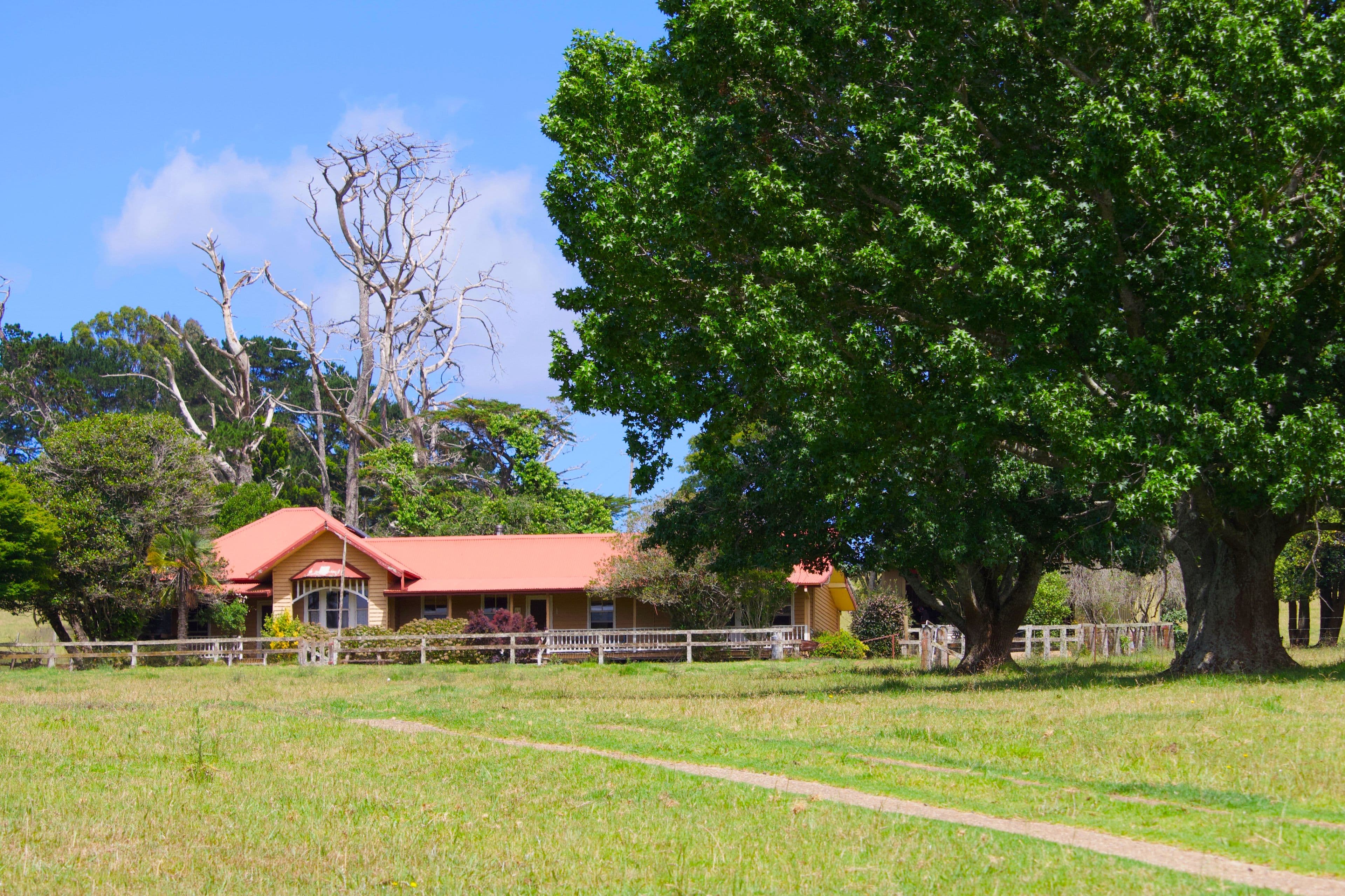Dorrigo NSW 2453, Dorrigo - Thumbnail 2