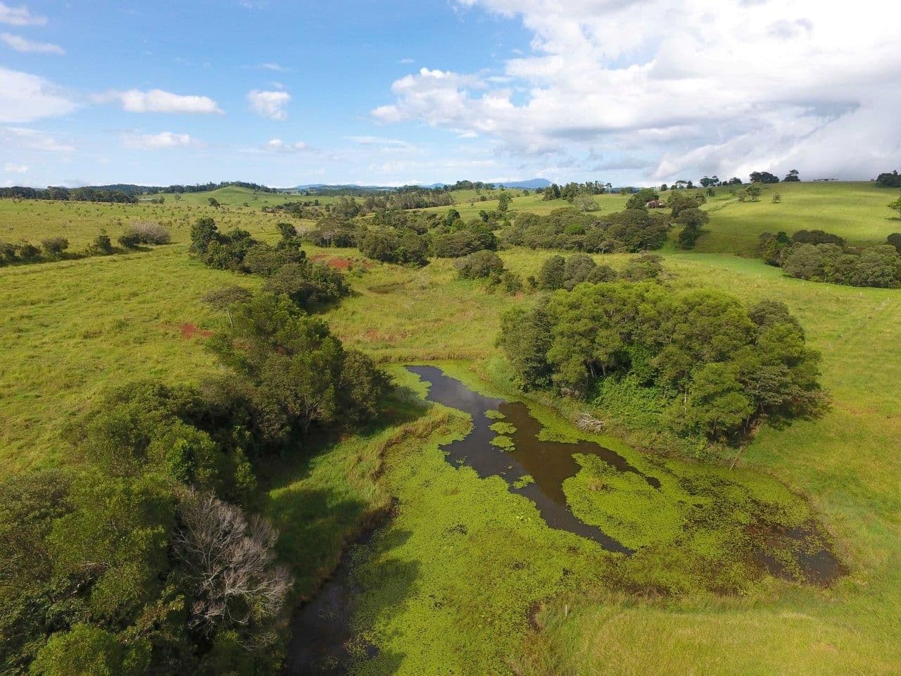 Tarzali QLD 4885, Tarzali - Thumbnail 2