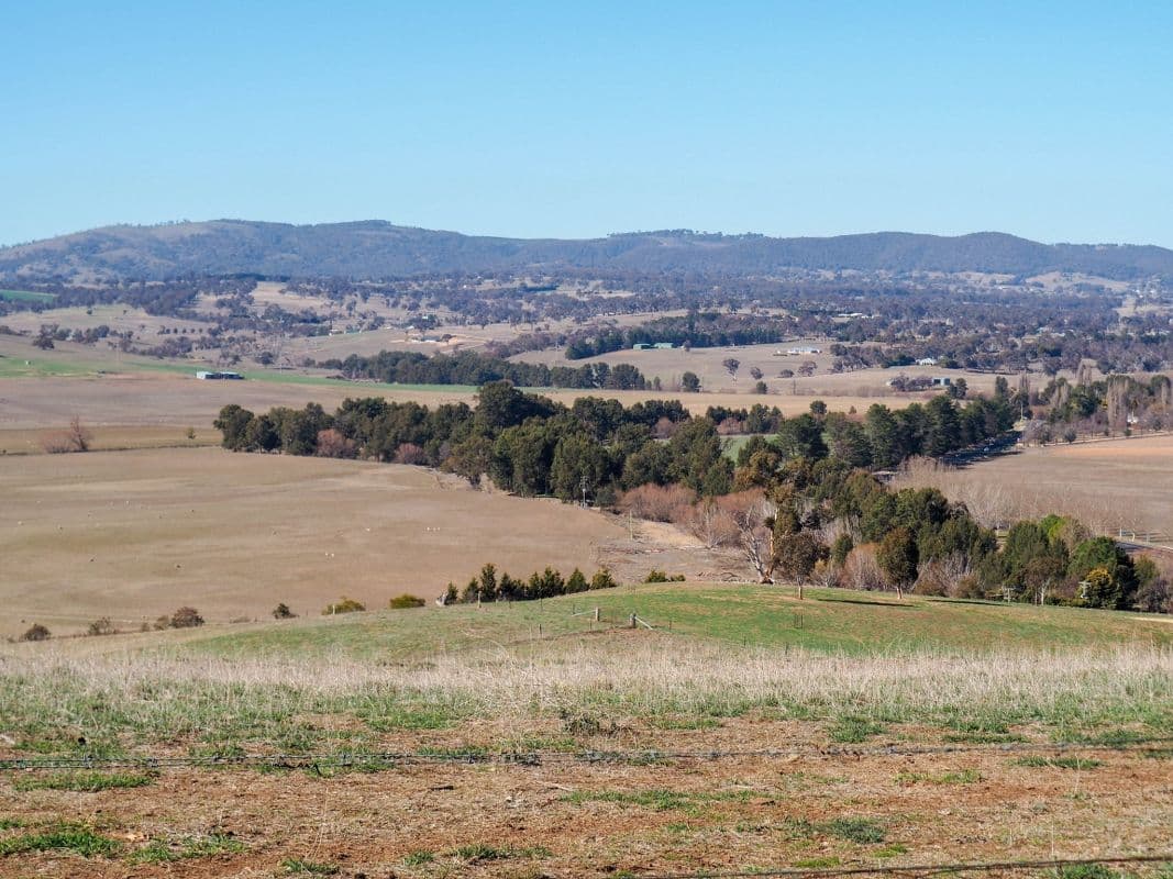 80 Blacks Mill Lane, O'Connell NSW 2795, O'Connell - Image 1
