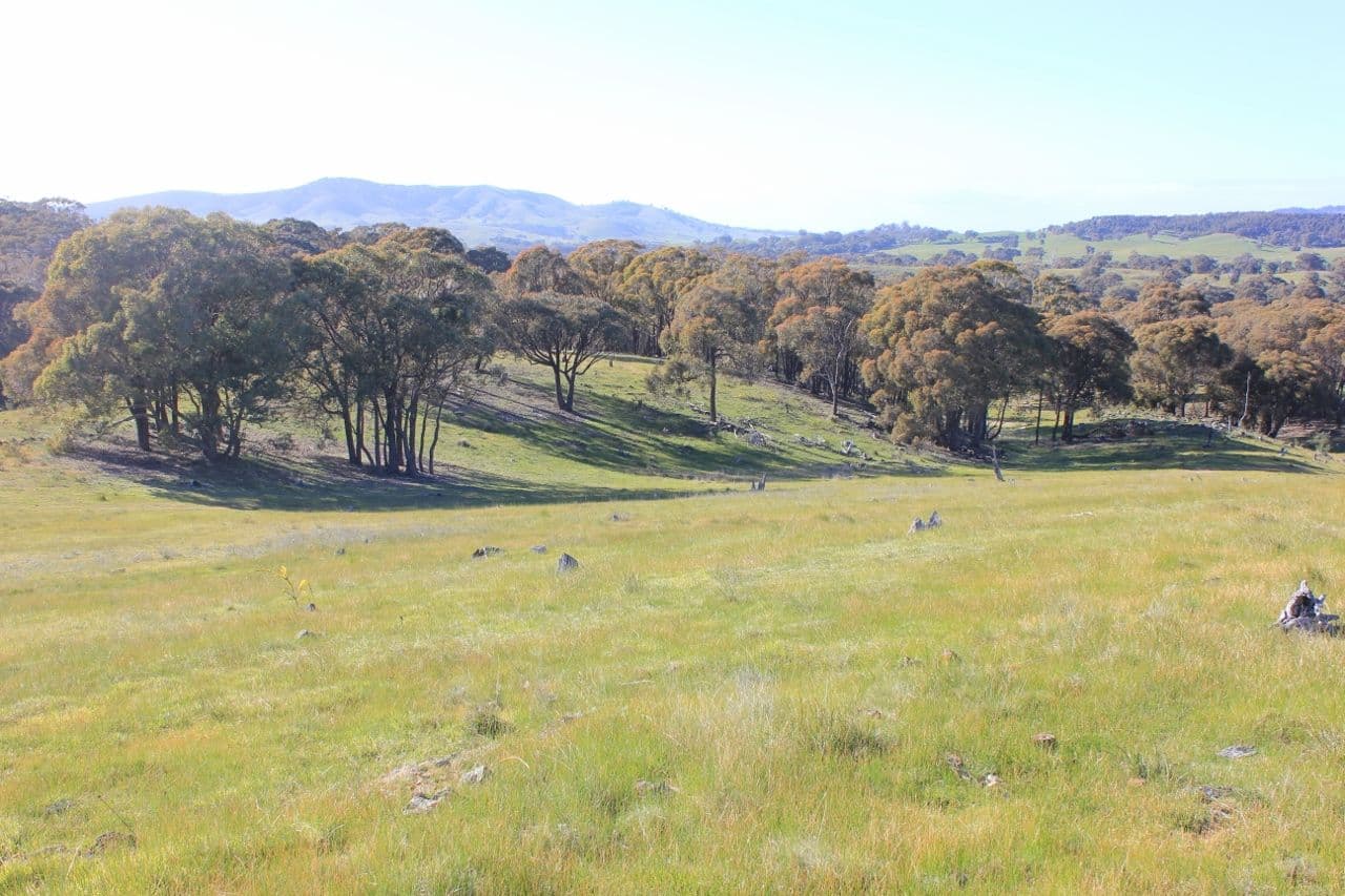 Tooborac VIC 3522, Tooborac - Thumbnail 6
