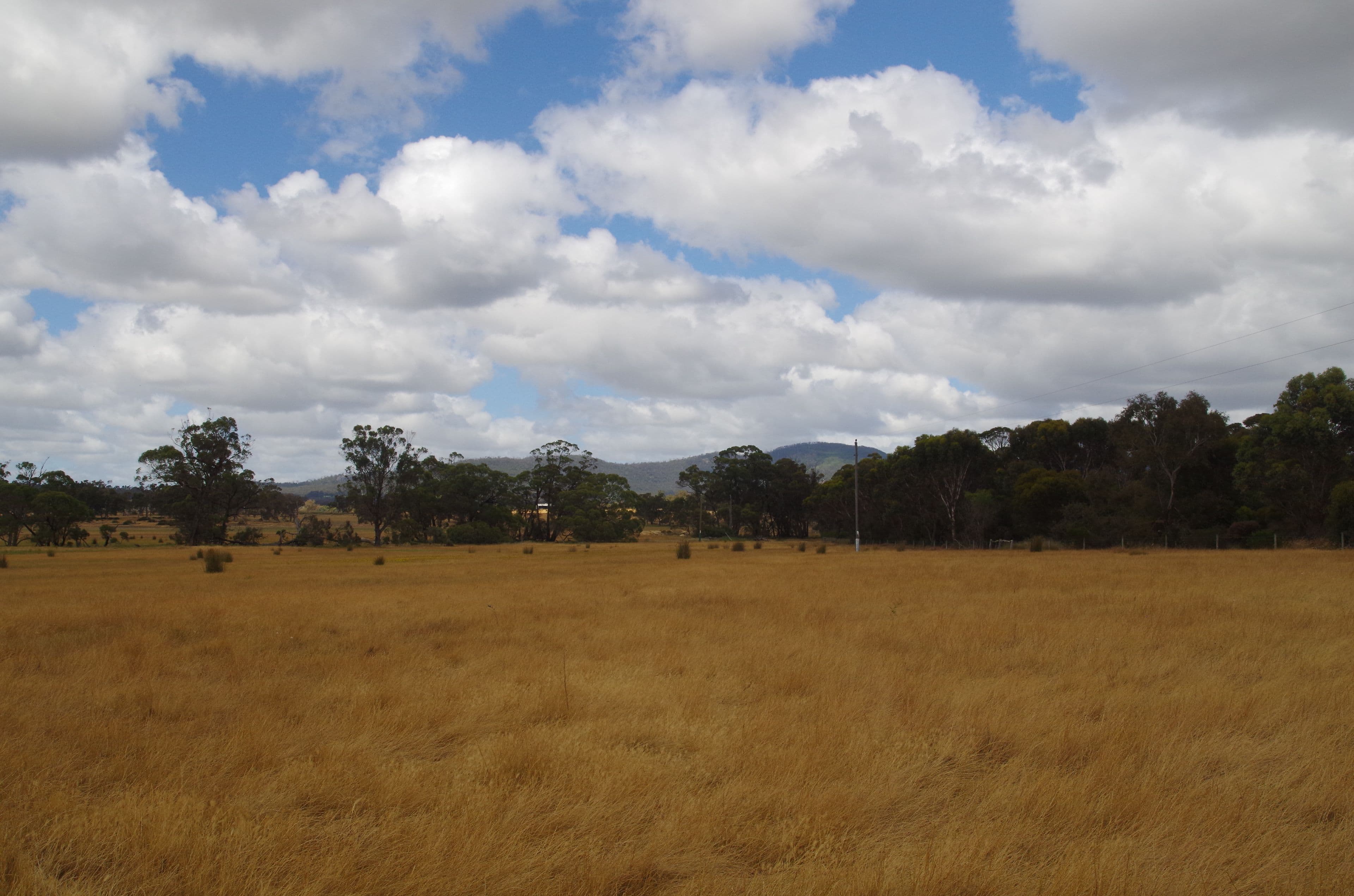 L3215 Chester Pass Road, Takalarup WA 6324, Takalarup - Thumbnail 4