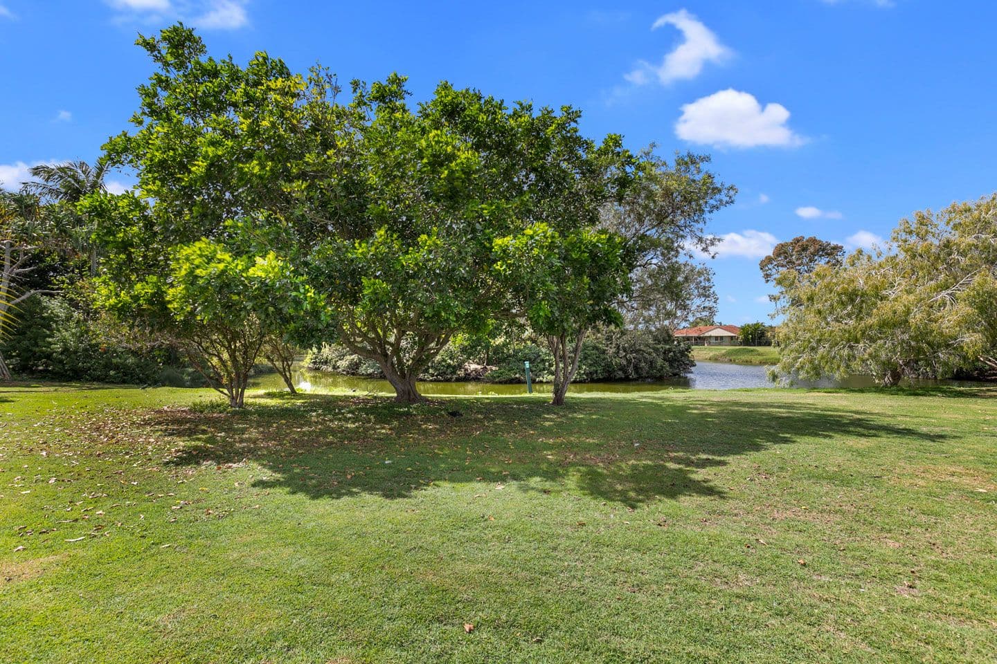 52 Ann Street, Torquay QLD 4655, Torquay - Thumbnail 5