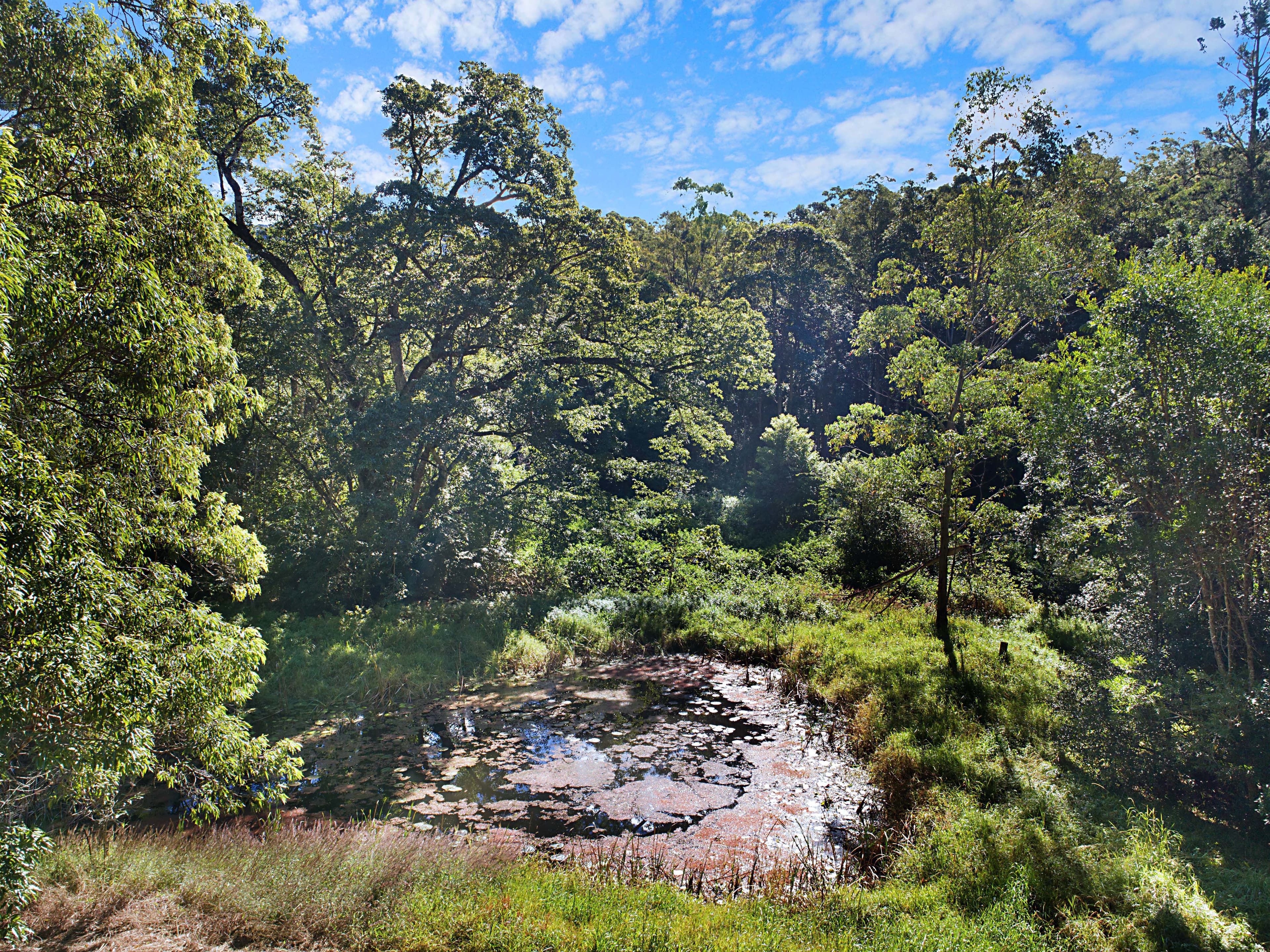 Lot 18, 215 Everinghams Road, Pumpenbil NSW 2484, Pumpenbil - Thumbnail 3