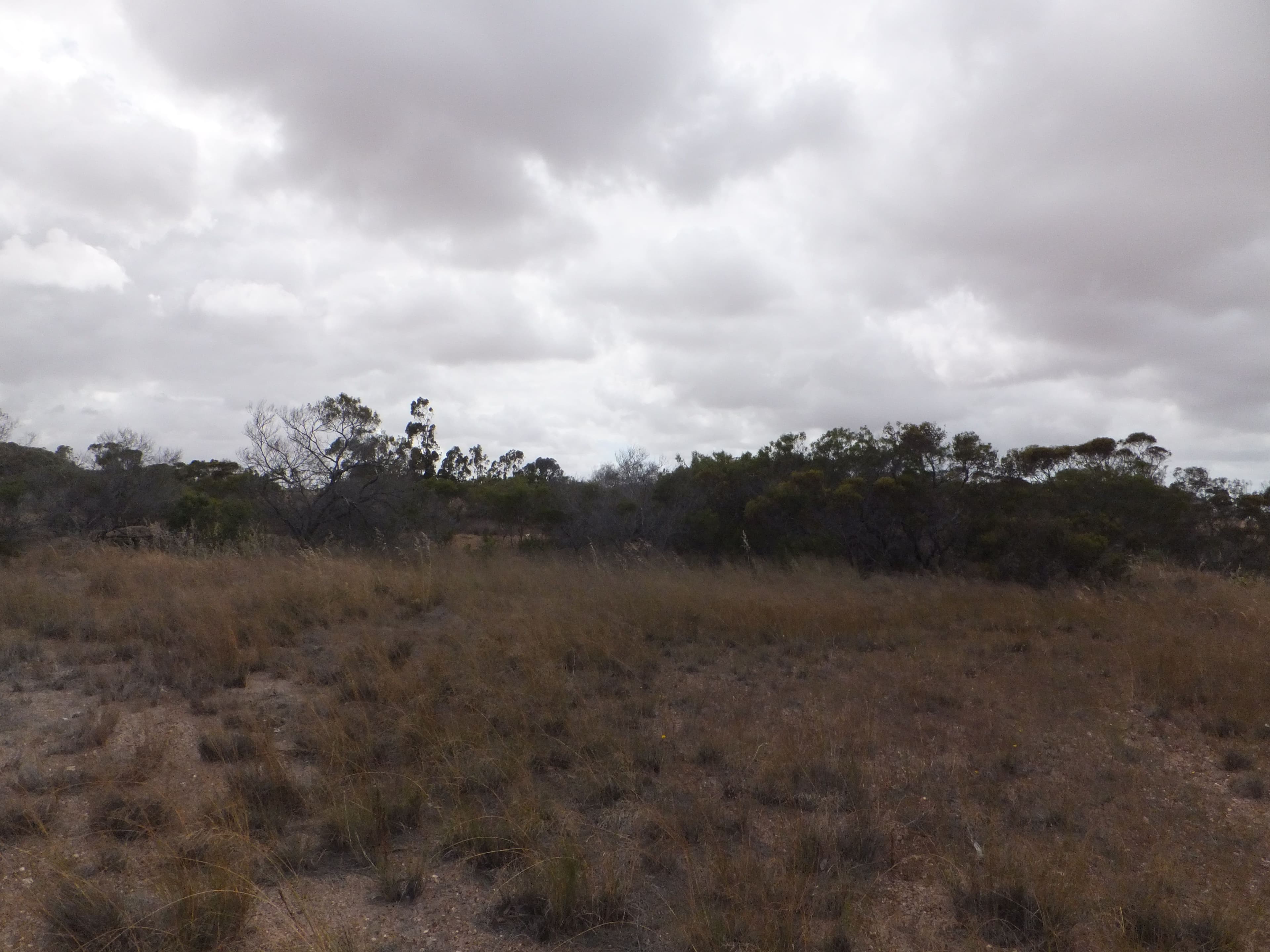 18 Blue Vista, Hopetoun WA 6348, Hopetoun - Thumbnail 7