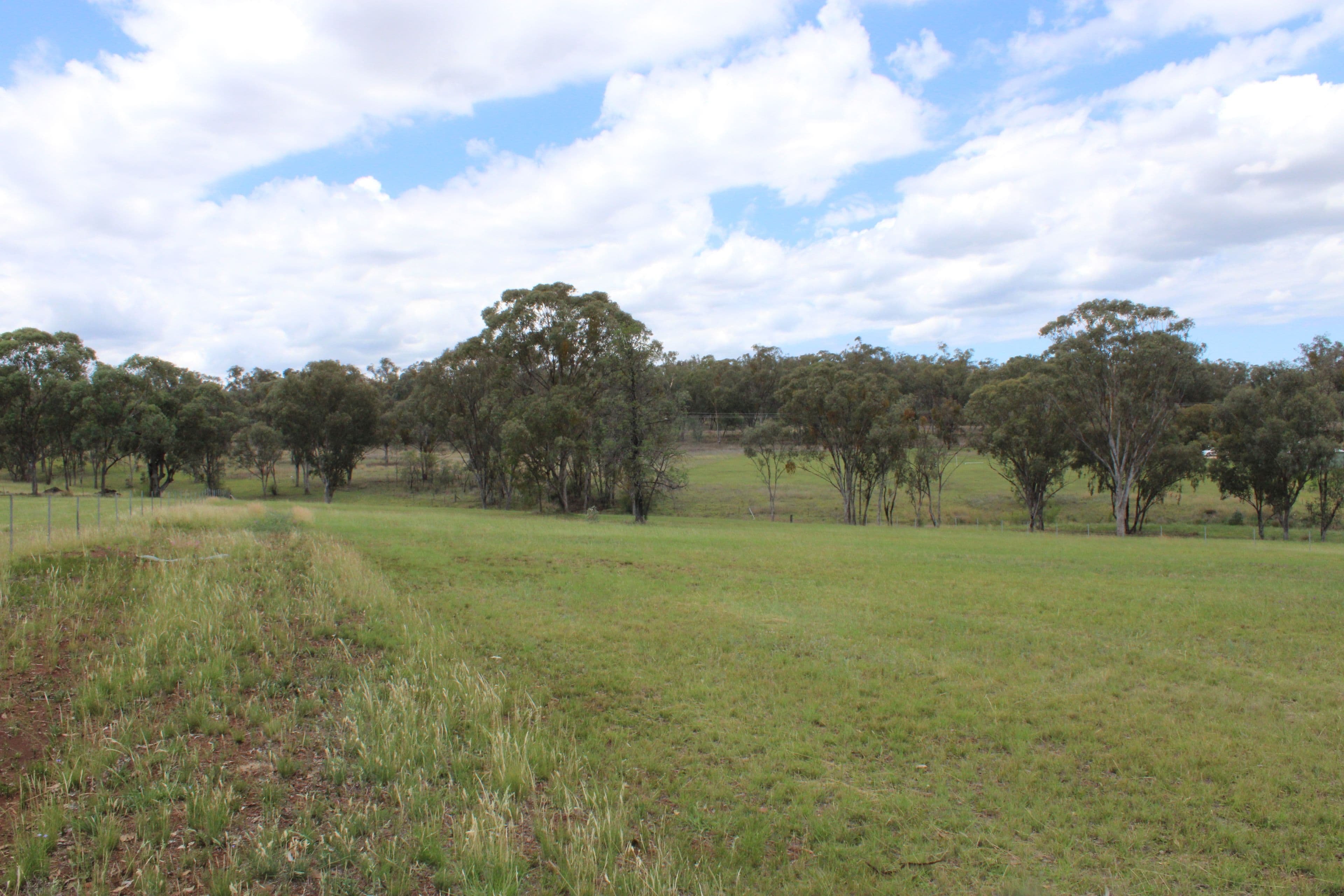 66 Bimbadeen Drive, Inverell NSW 2360, Inverell - Thumbnail 5