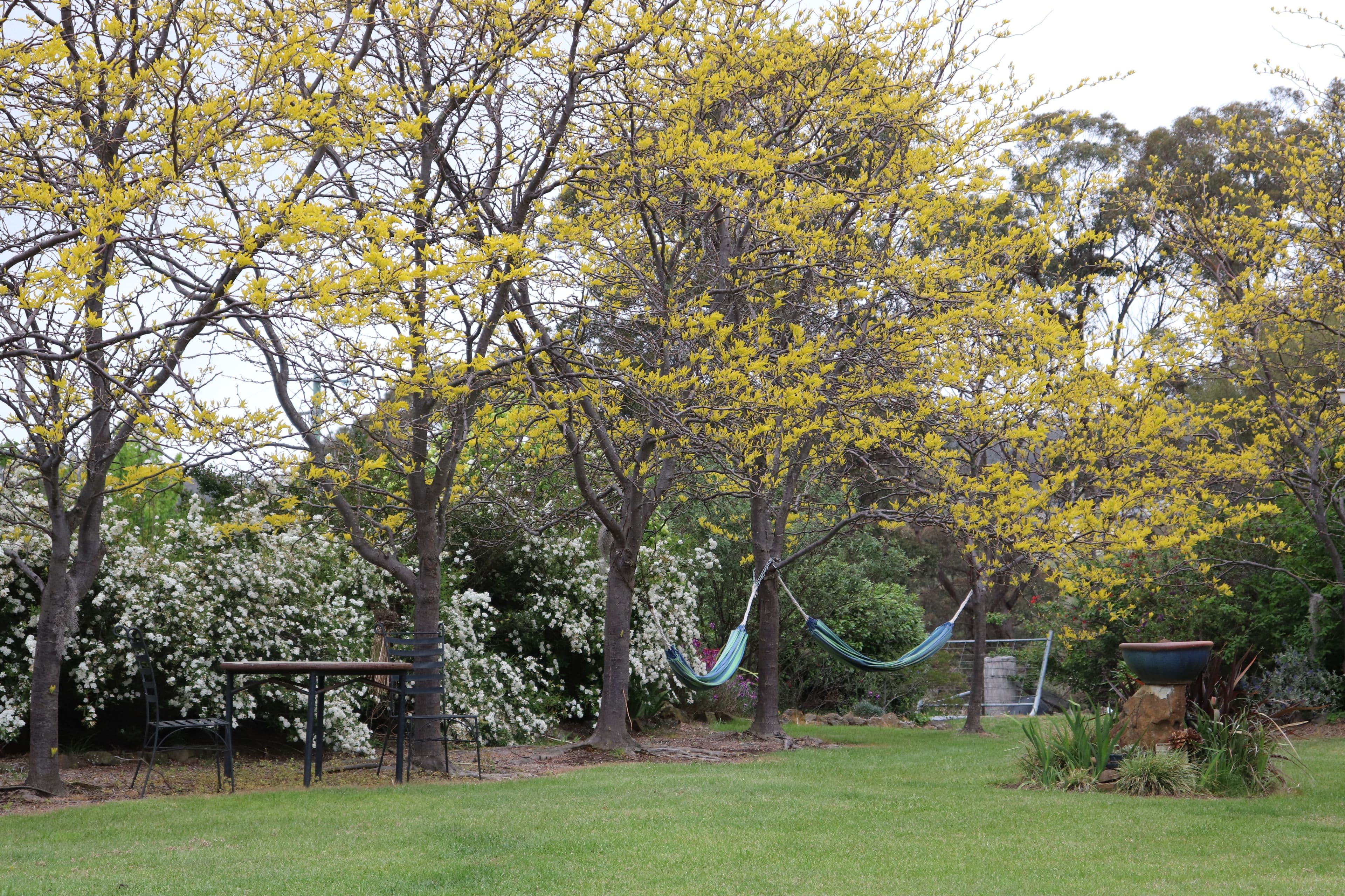 8 McGauran Lane, Glen Innes NSW 2370, Glen Innes - Thumbnail 7
