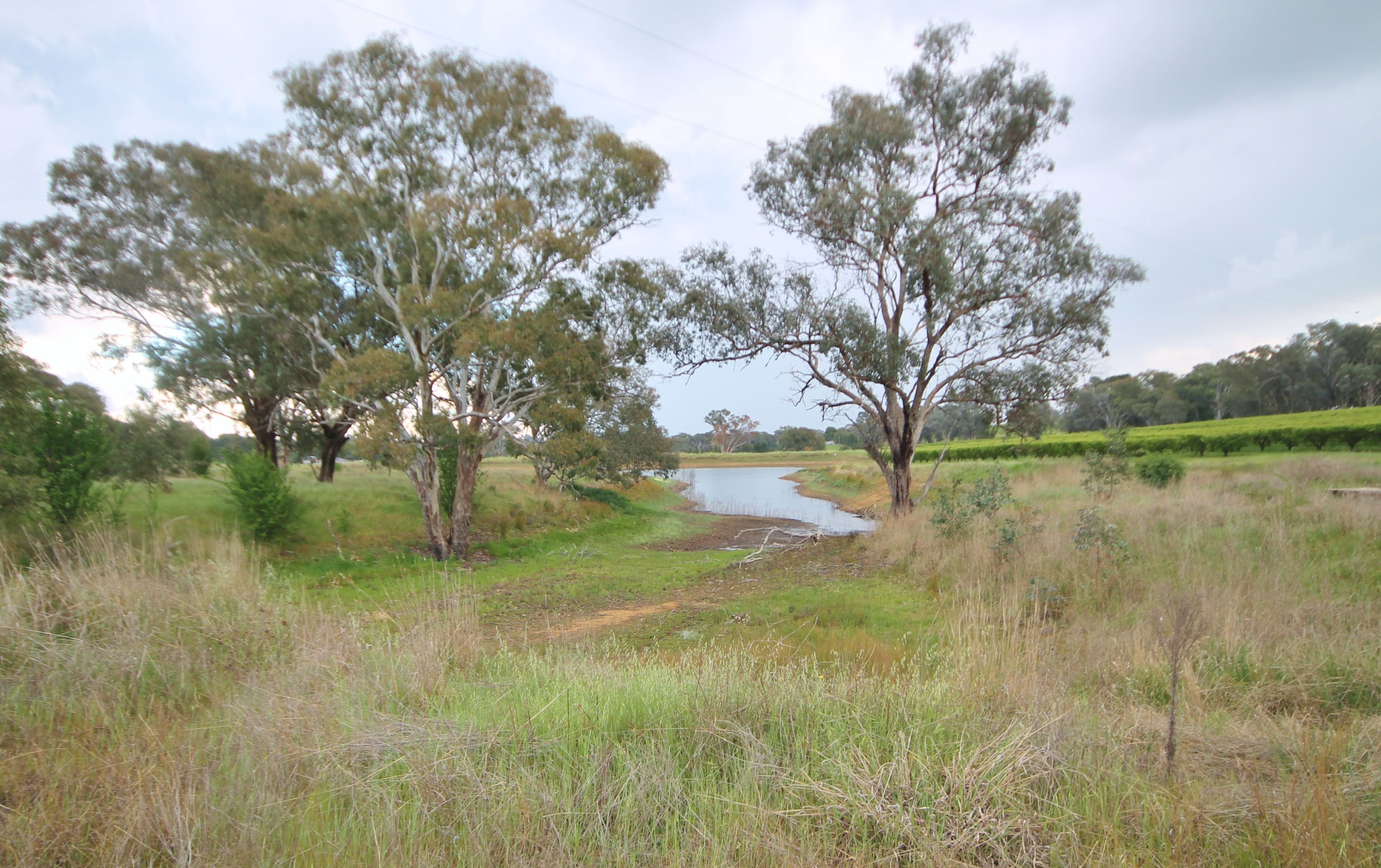 189 Jasprizza Lane, Young NSW 2594, Young - Thumbnail 7