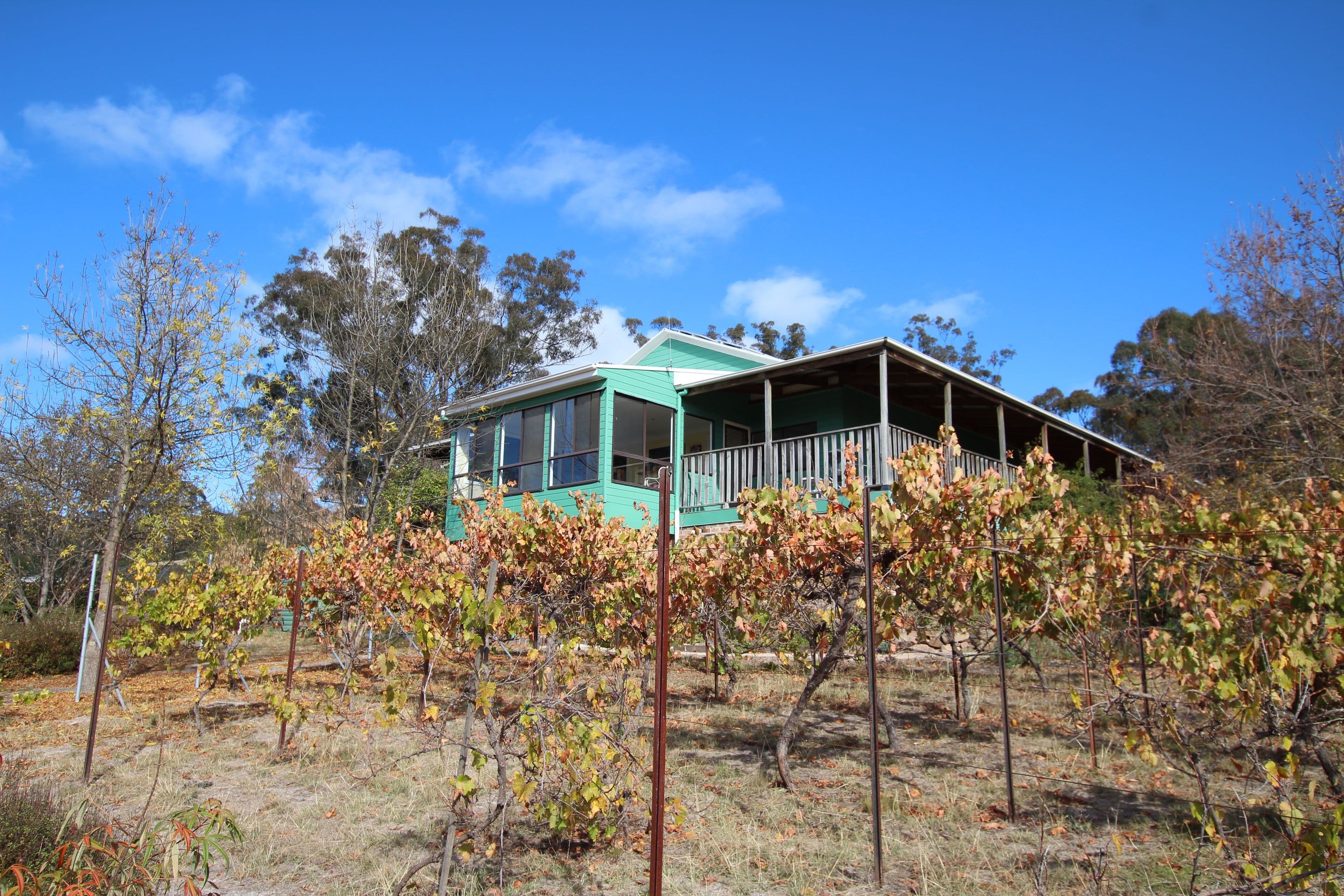 114 Saunders Road, O'Connell NSW 2795, O'Connell - Image 1