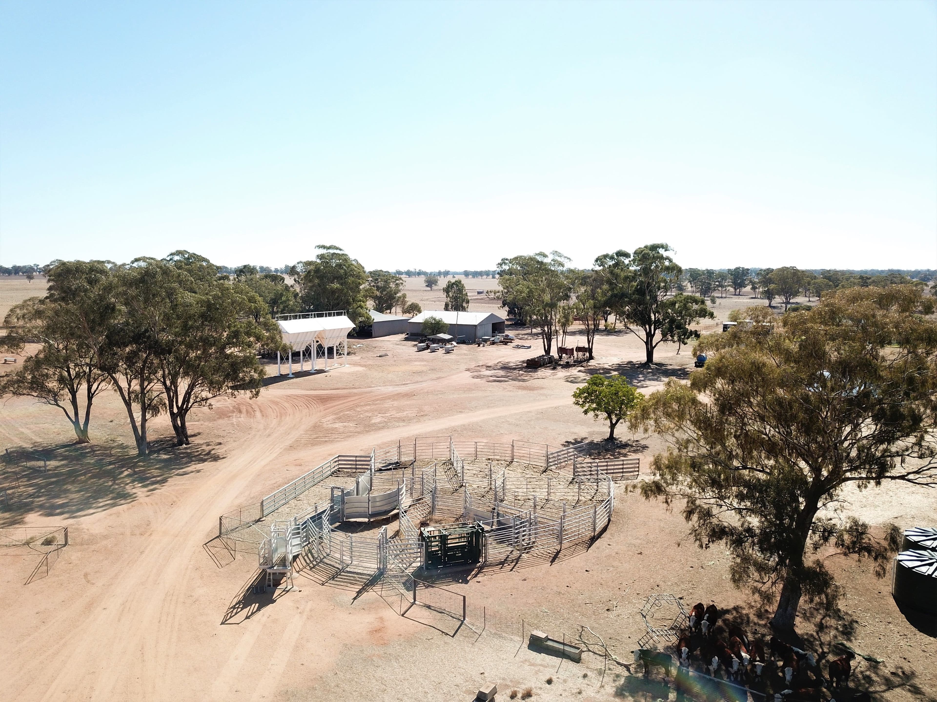 'Balgowan' Newell Highway, Dubbo NSW 2830, Dubbo - Thumbnail 8