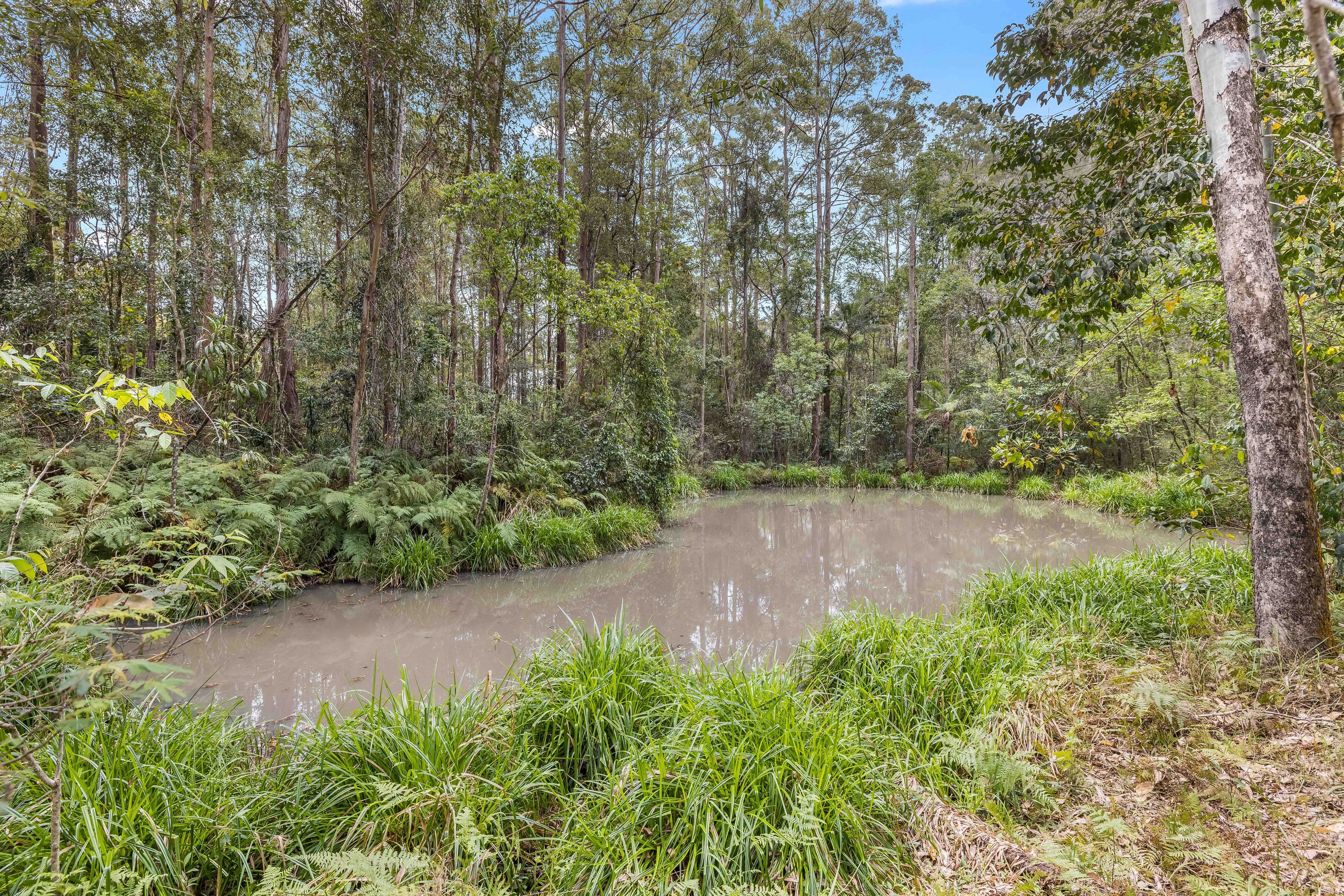 190-198 Tanawha Road, Tanawha QLD 4556, Tanawha - Thumbnail 7