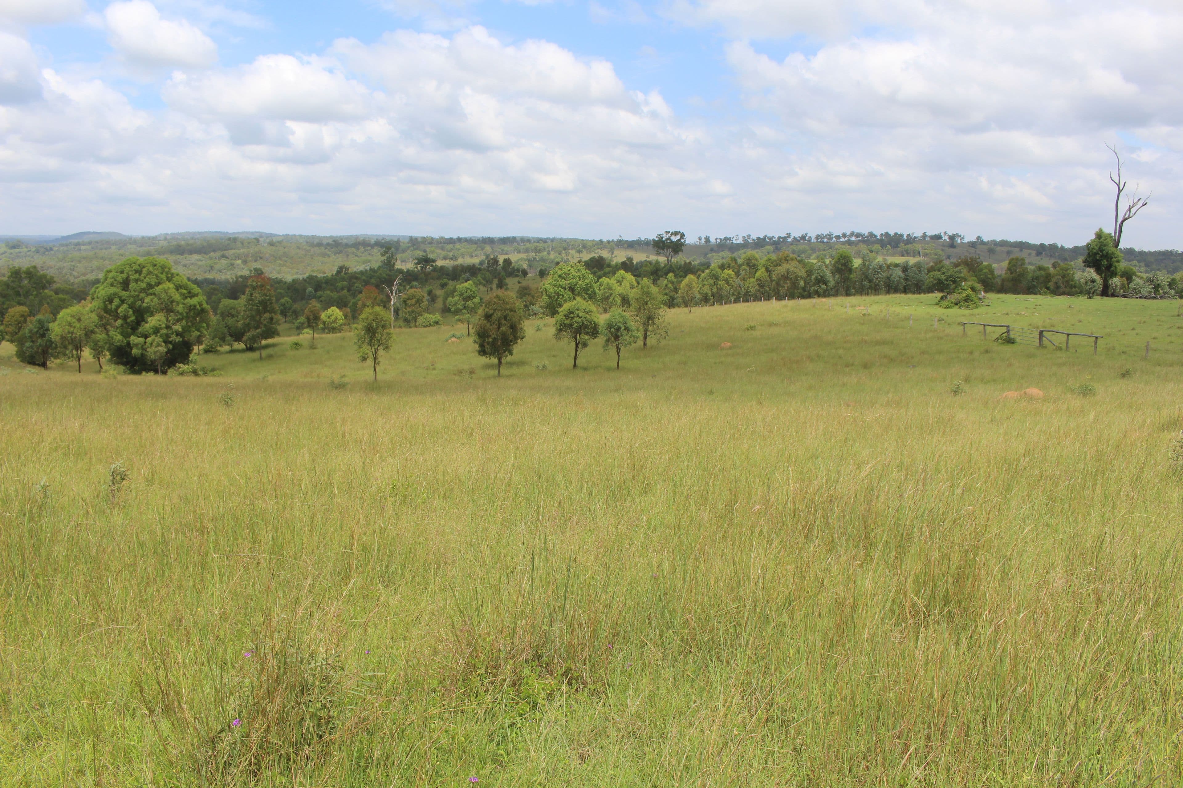 Lot 5 Old Esk North Road, South East Nanango QLD 4615, South East Nanango - Thumbnail 5