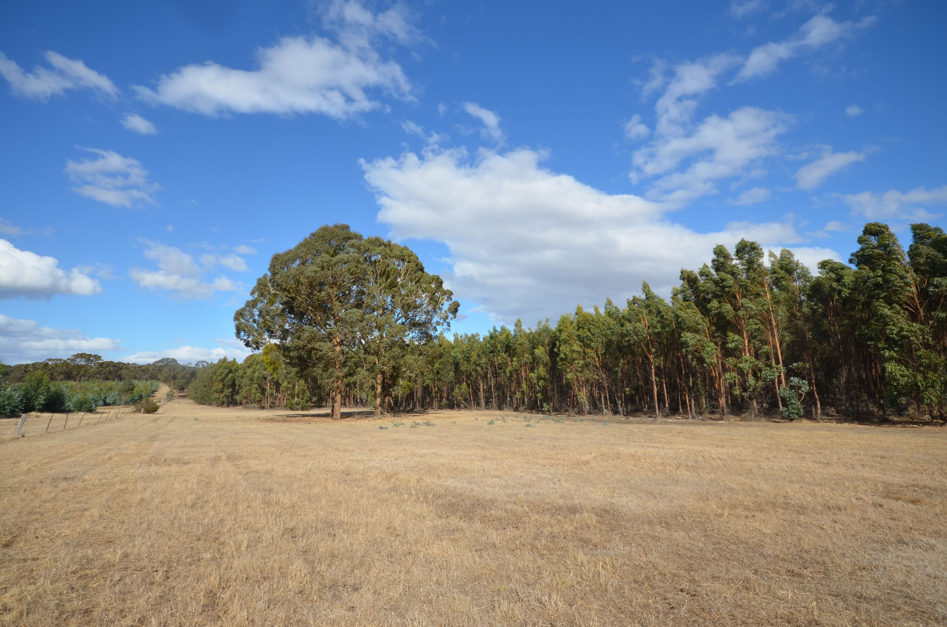 "Cain" Western Highway, BUANGOR VIC 3375, Buangor - Thumbnail 4